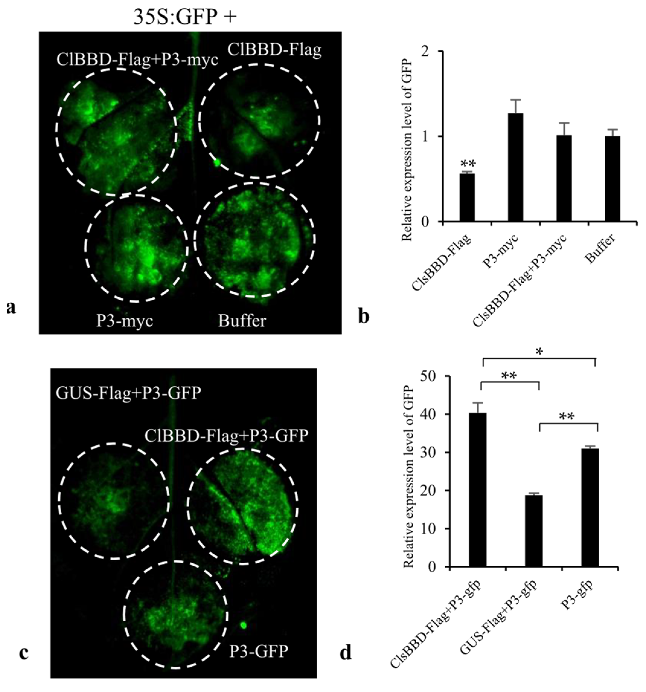 Plants 13 03431 g005a