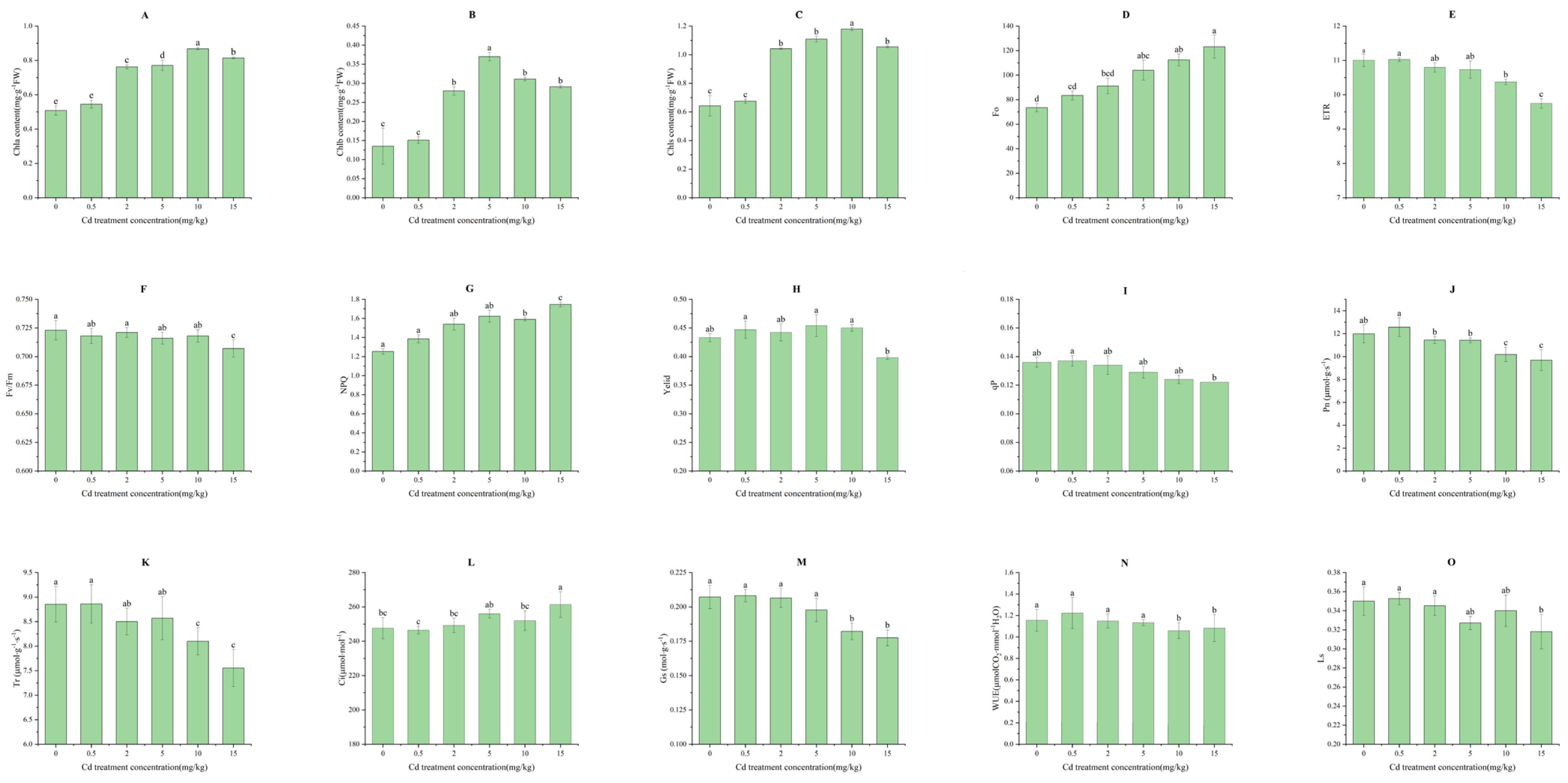 Plants 13 03433 g002