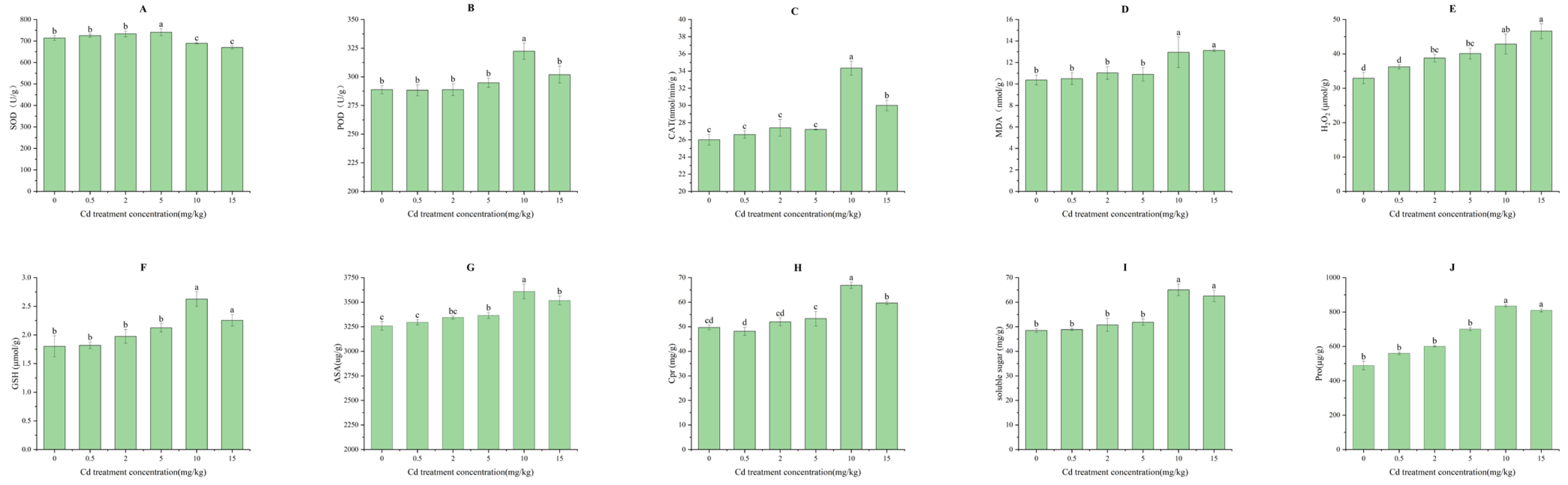 Plants 13 03433 g003