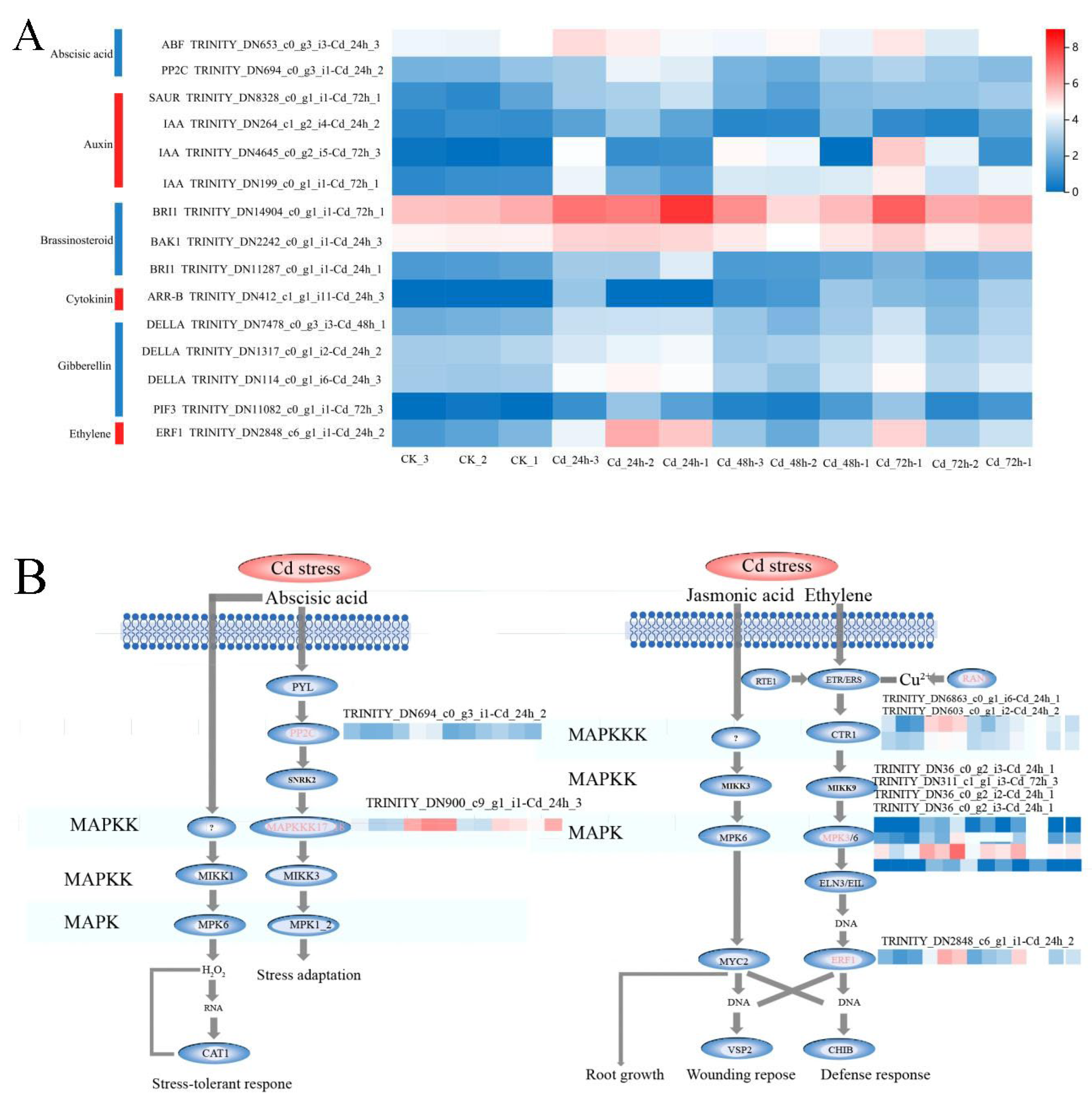Plants 13 03433 g006