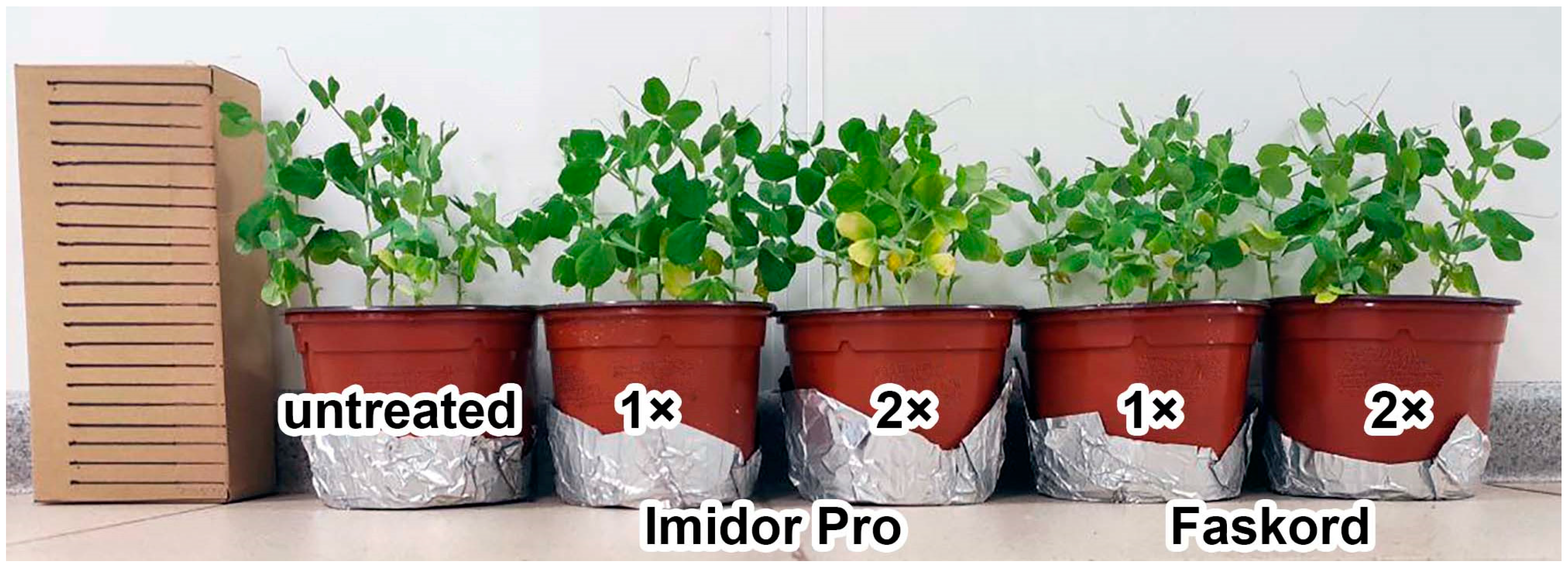 Plants 13 03439 g001