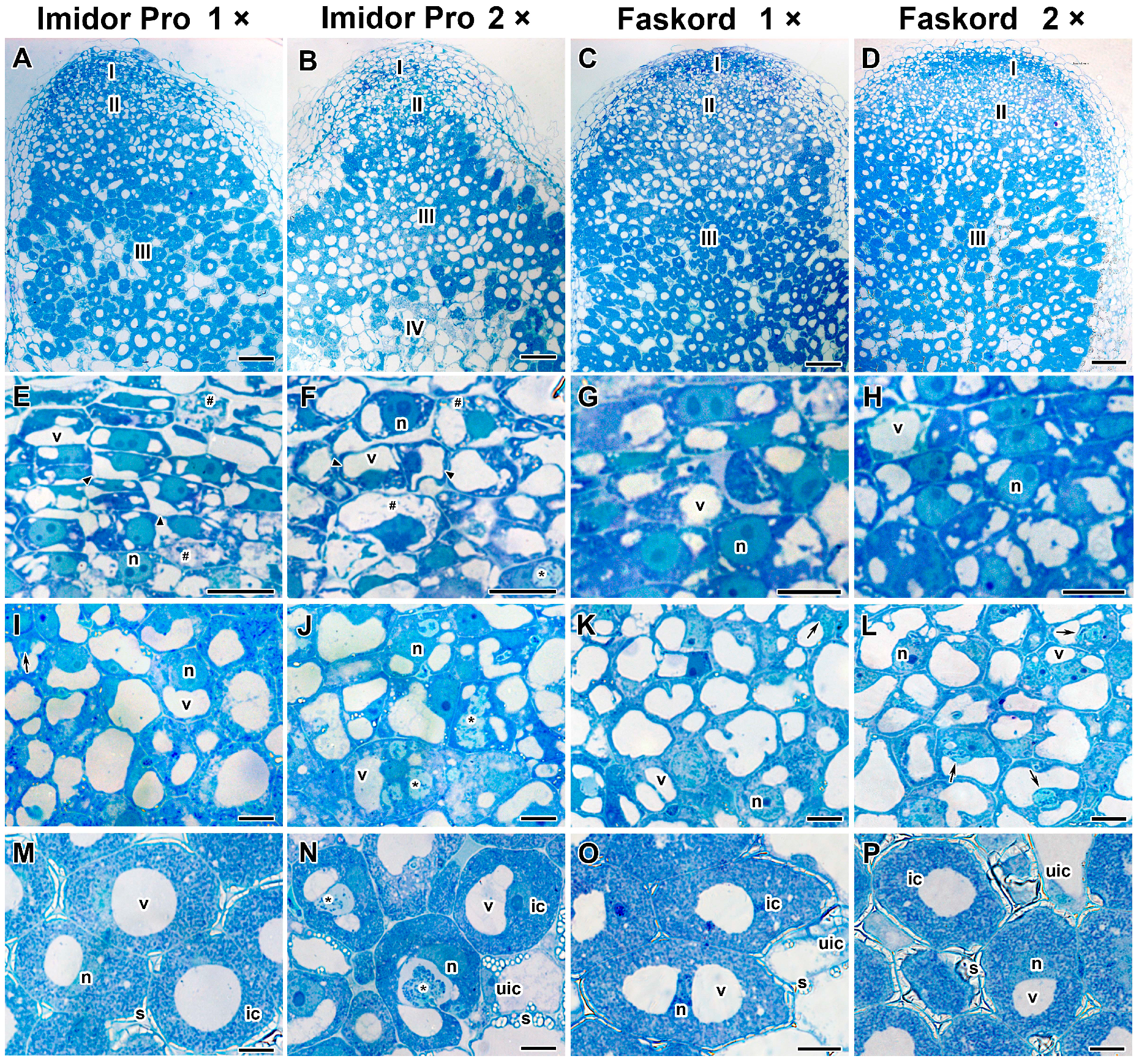 Plants 13 03439 g004