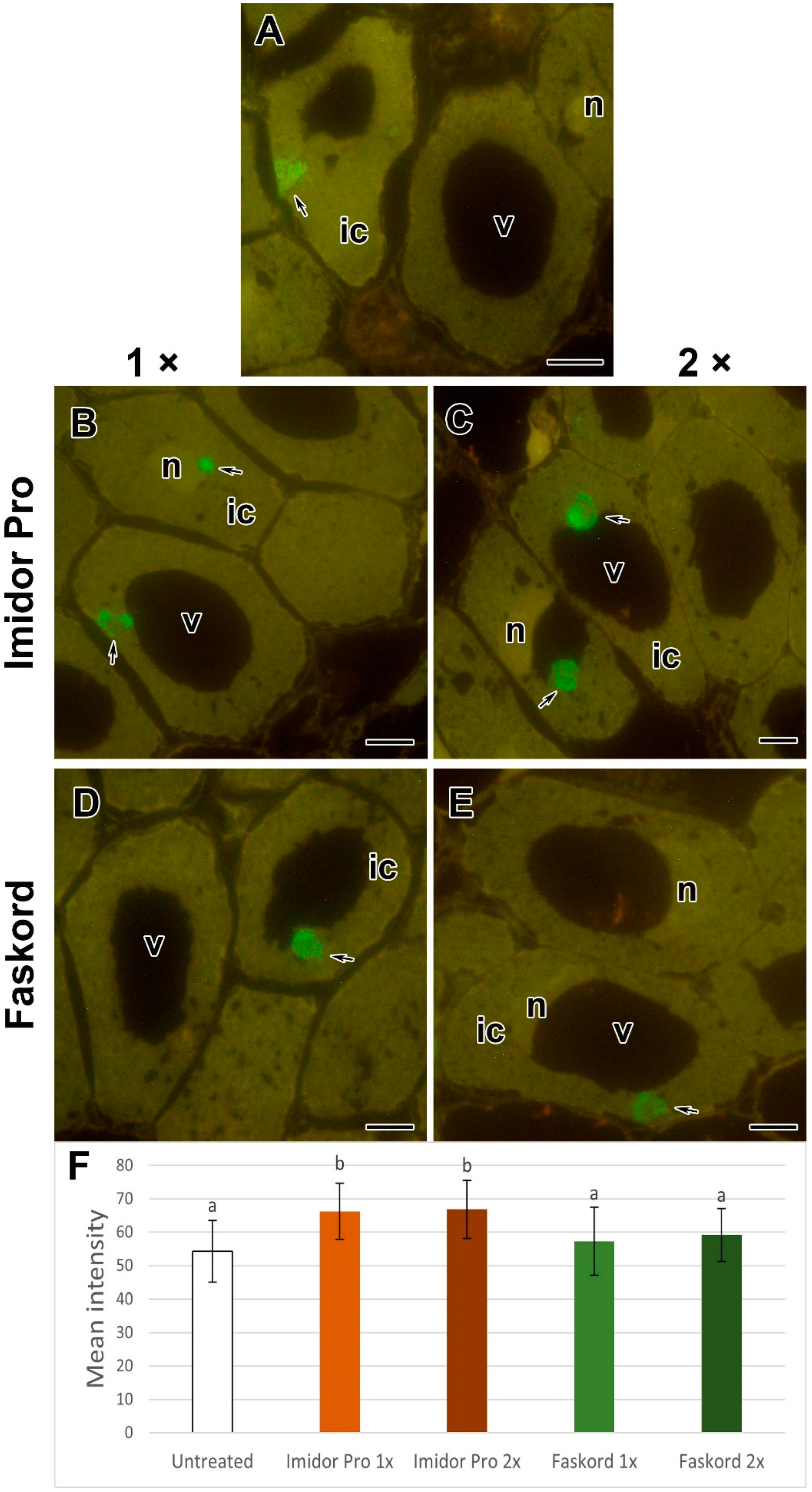 Plants 13 03439 g010