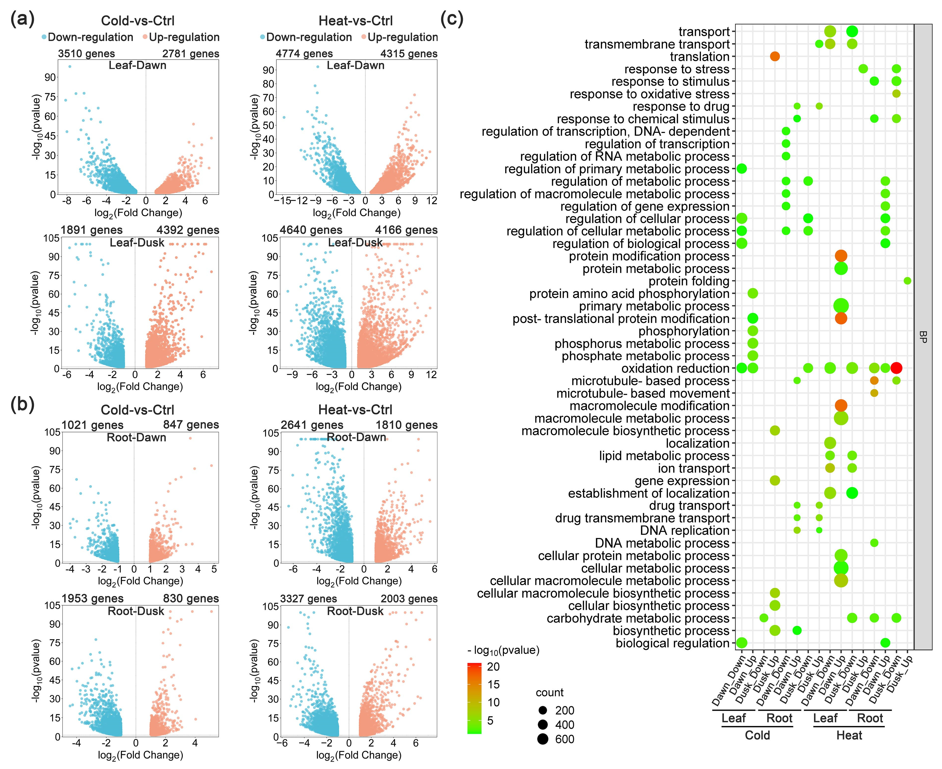 Plants 13 03444 g001