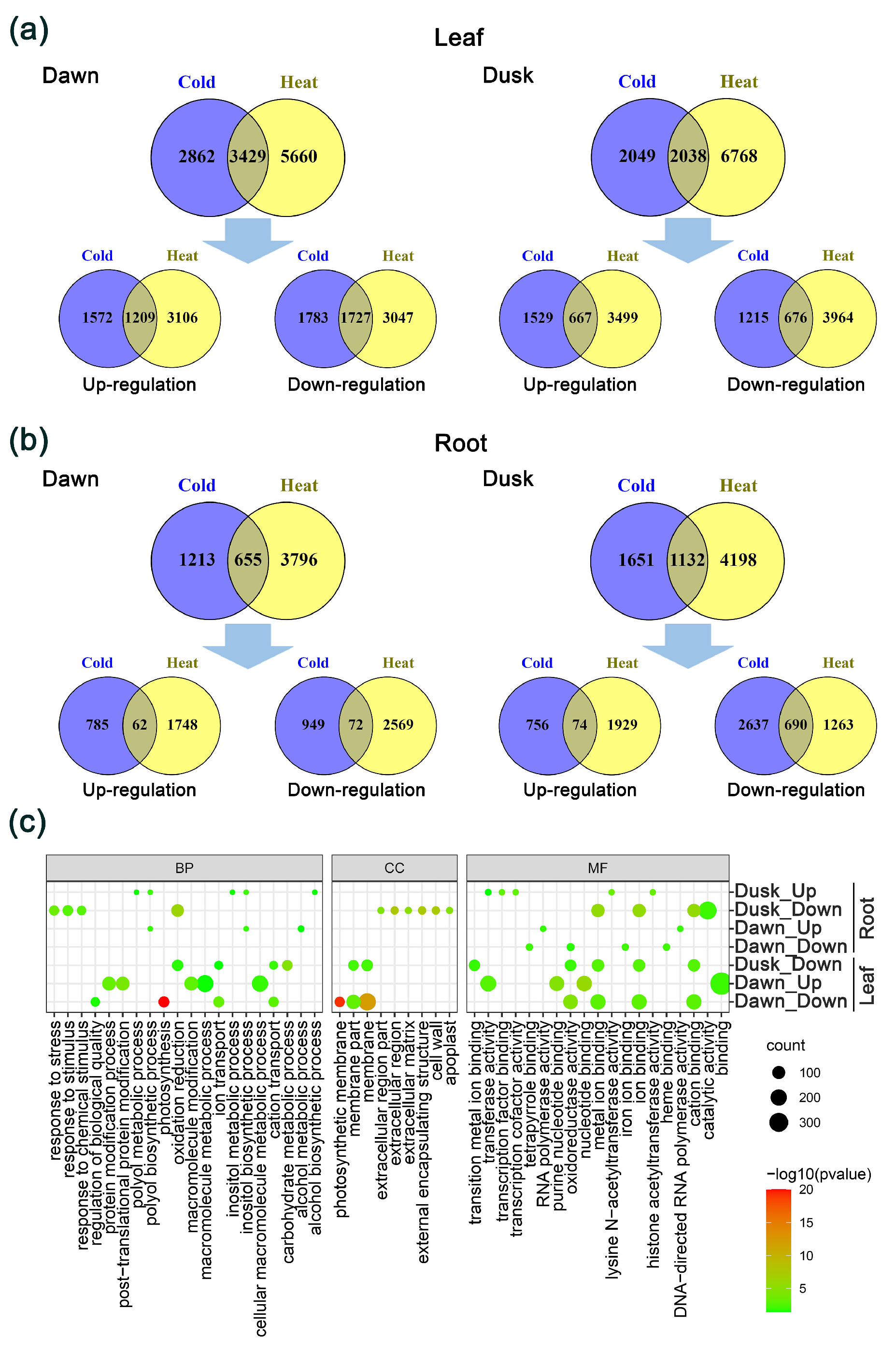 Plants 13 03444 g002