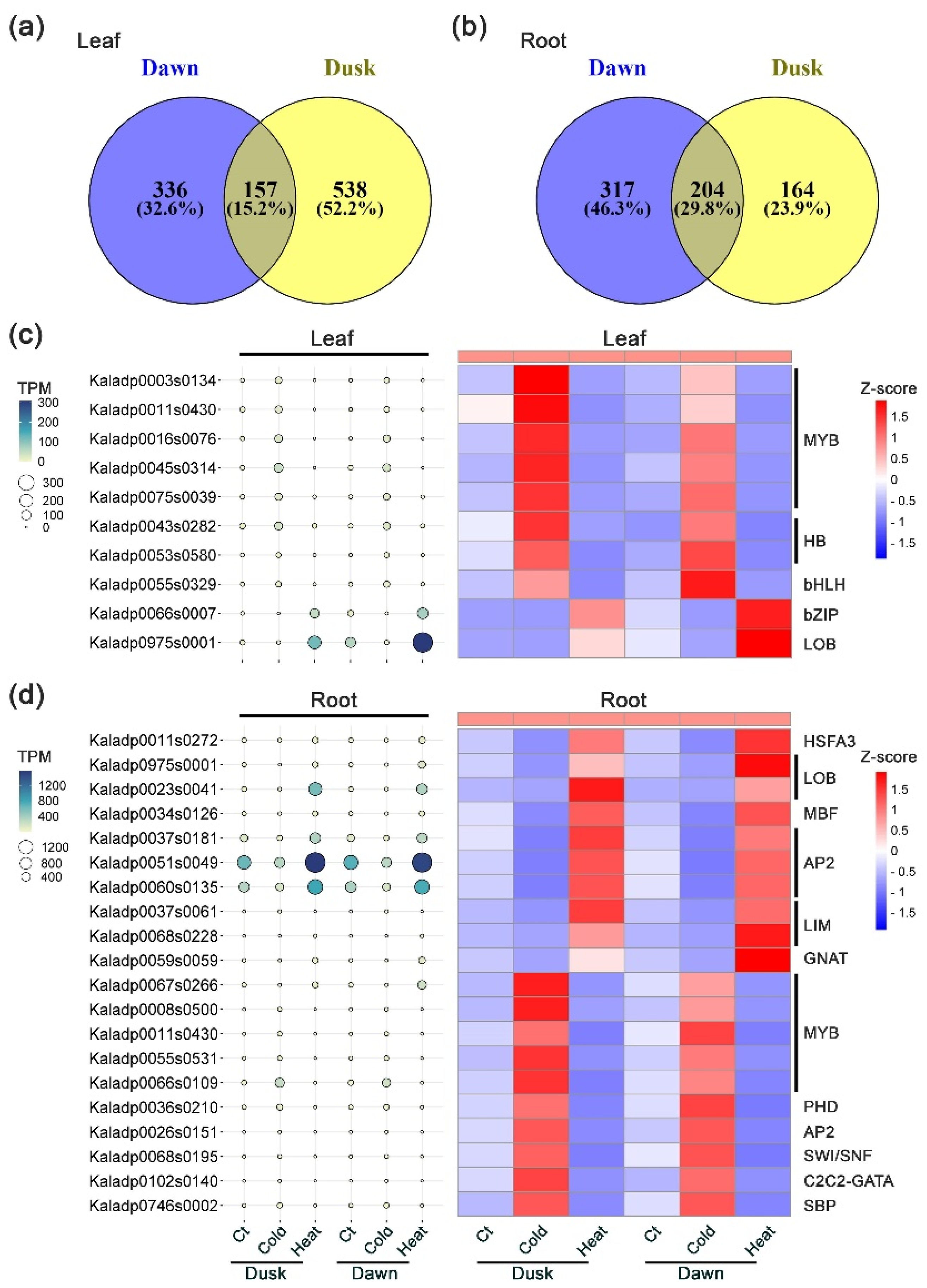 Plants 13 03444 g003