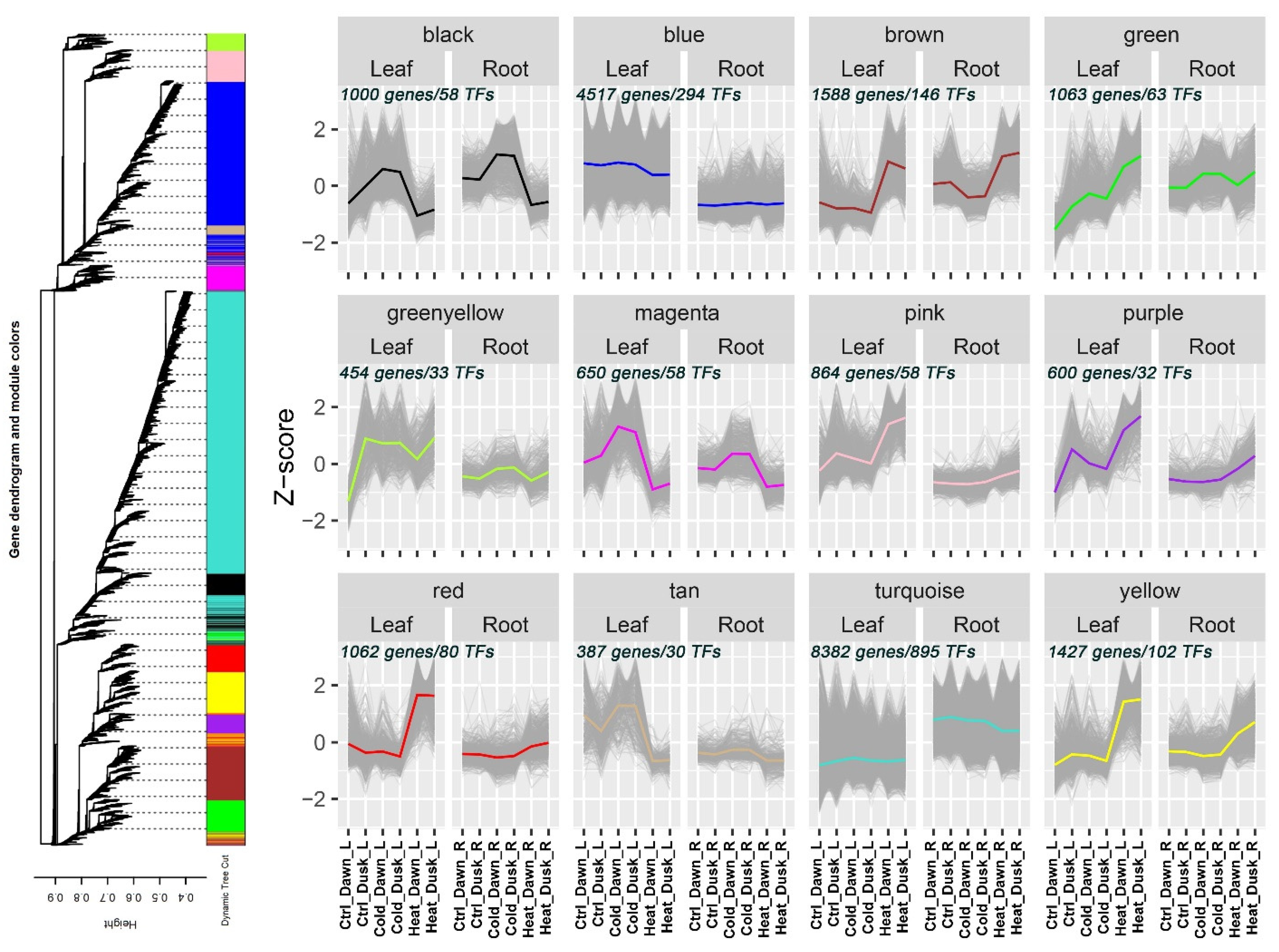Plants 13 03444 g004