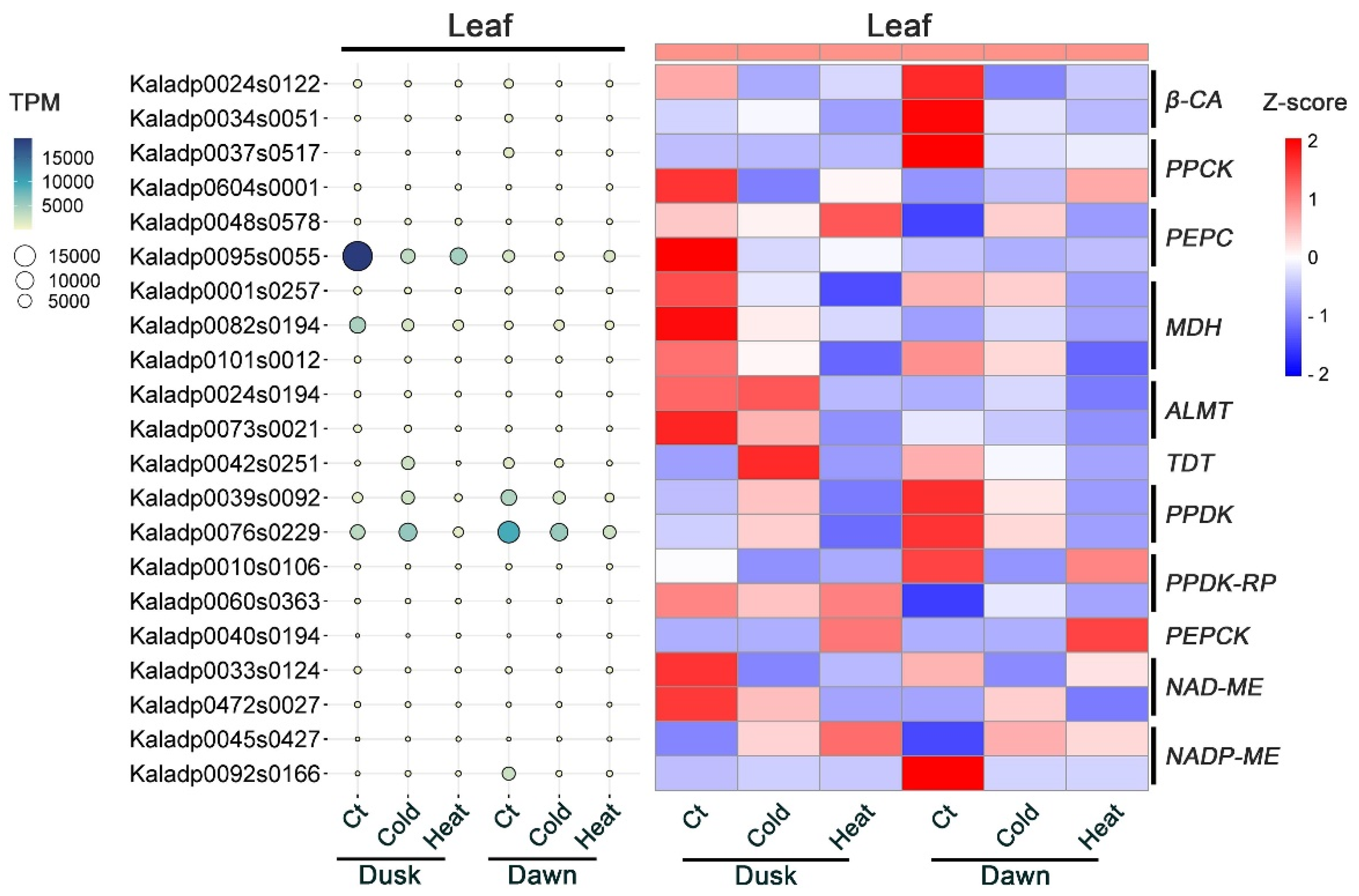 Plants 13 03444 g005