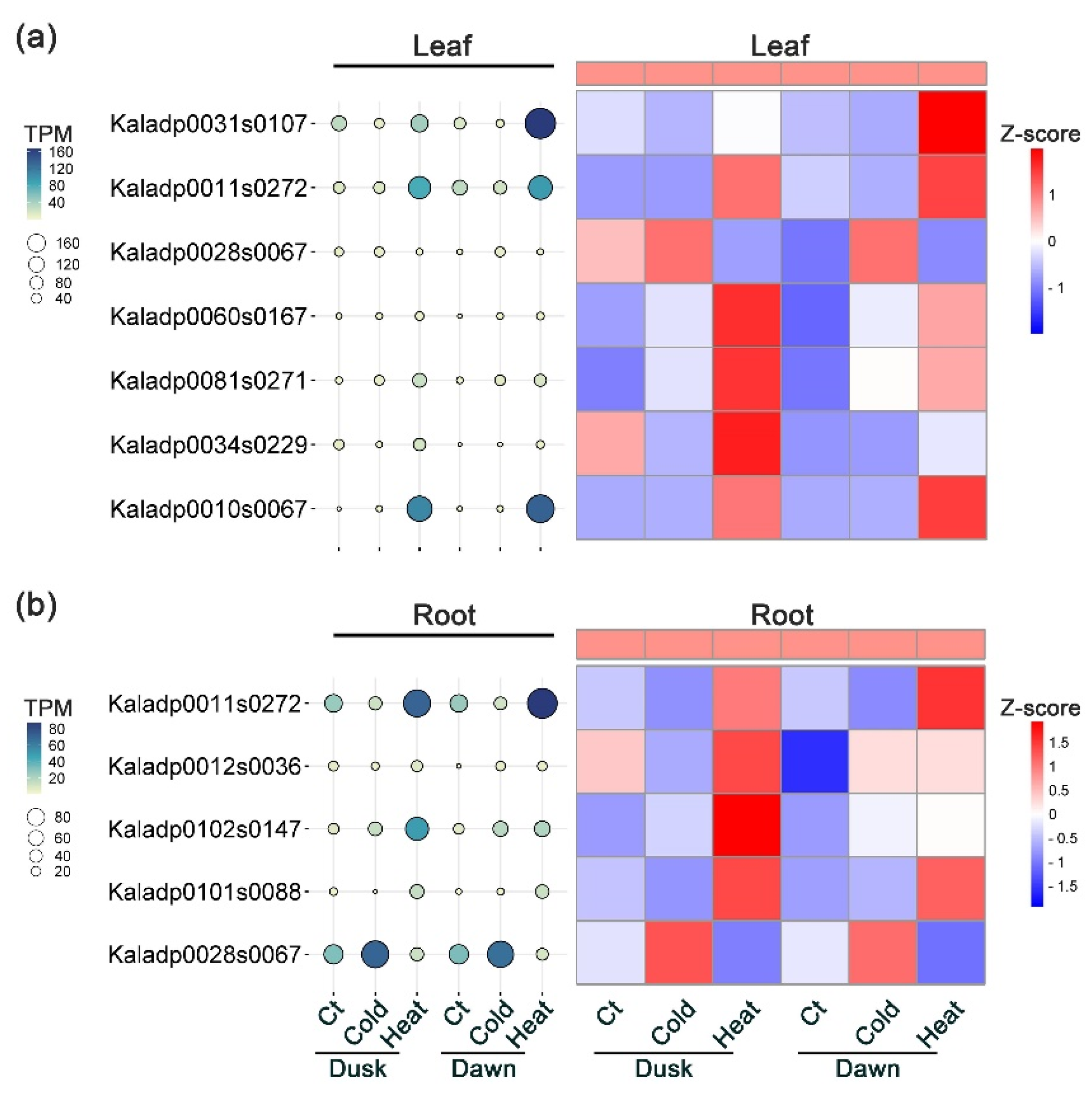 Plants 13 03444 g006
