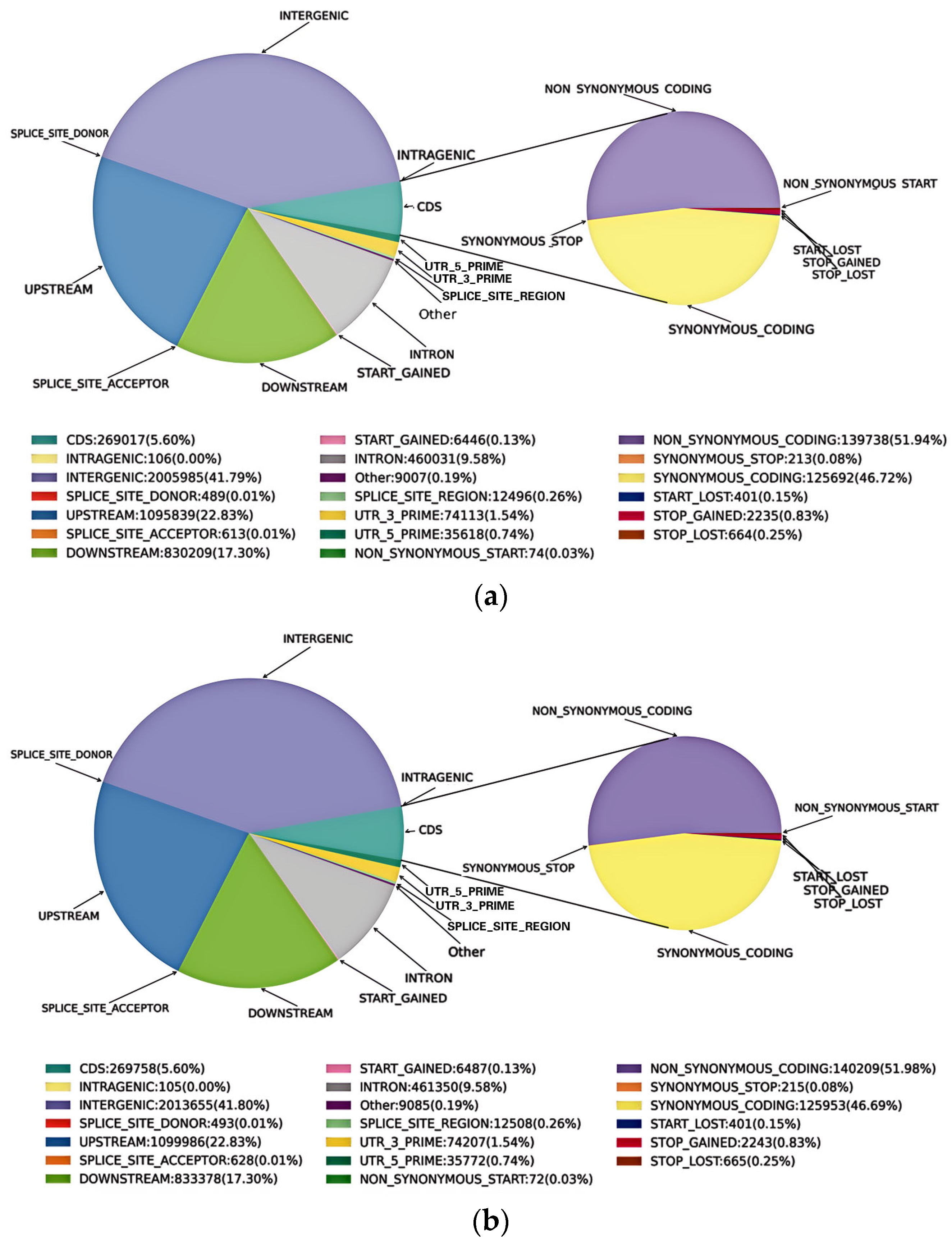 Plants 13 03448 g002