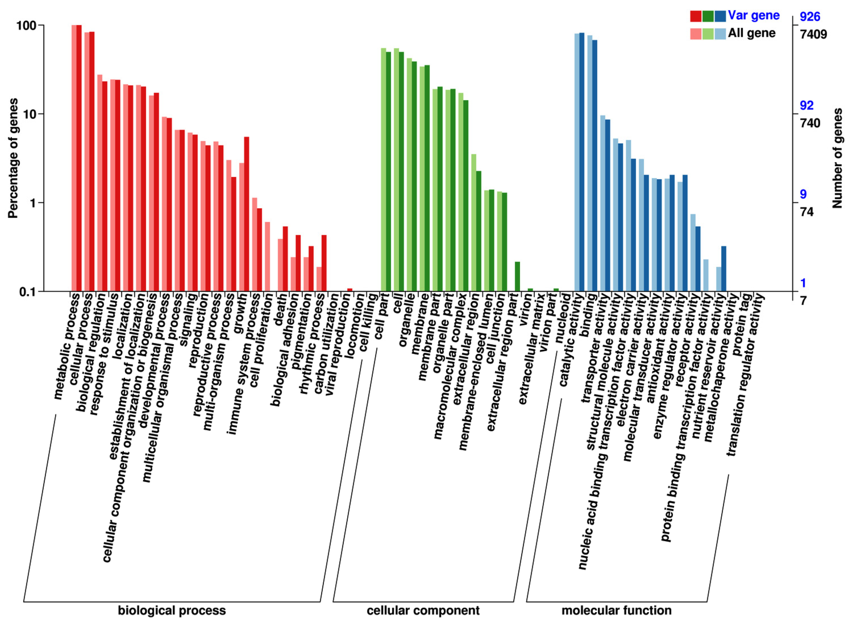 Plants 13 03448 g004