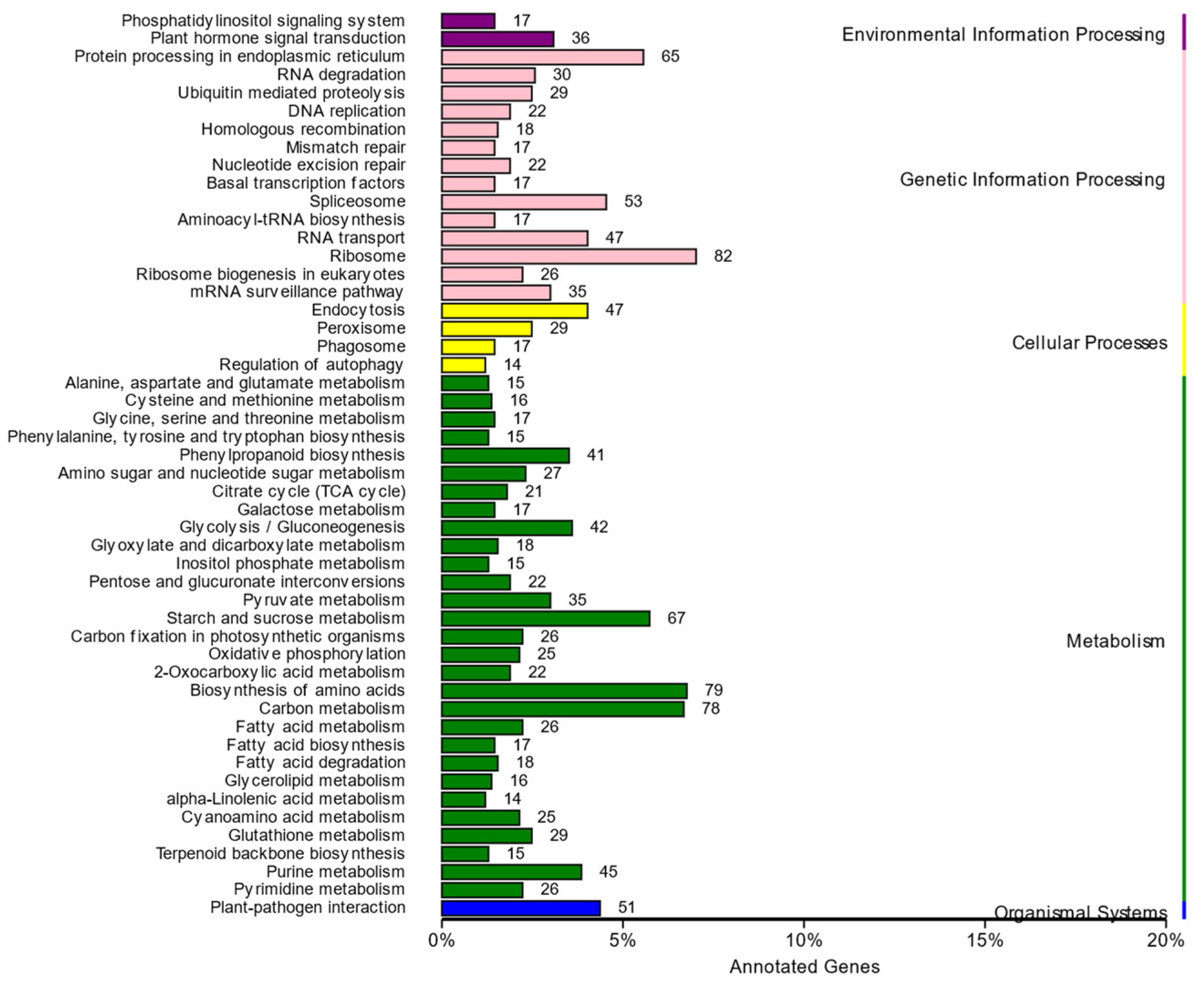 Plants 13 03448 g006