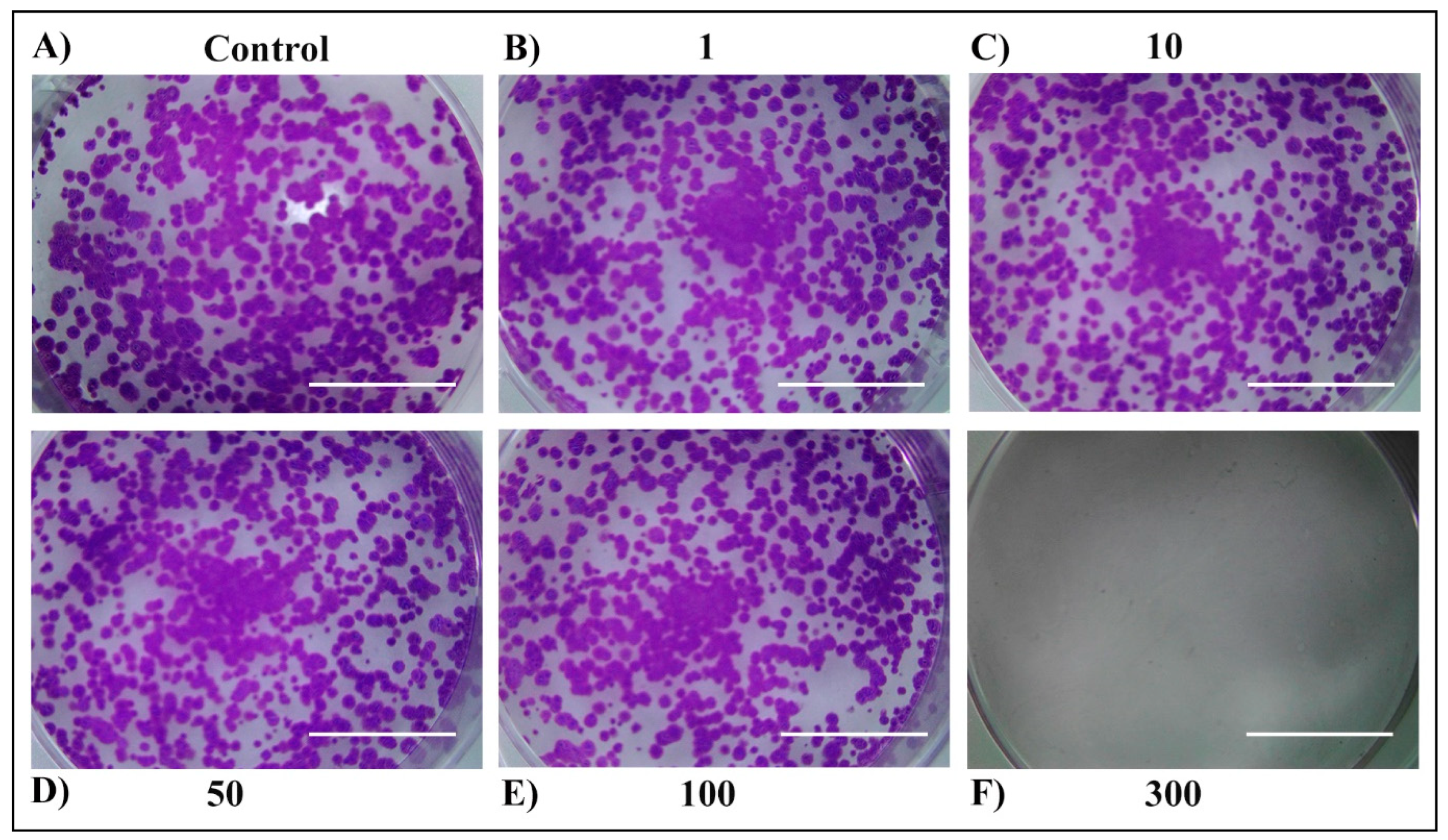 Plants 13 03457 g005