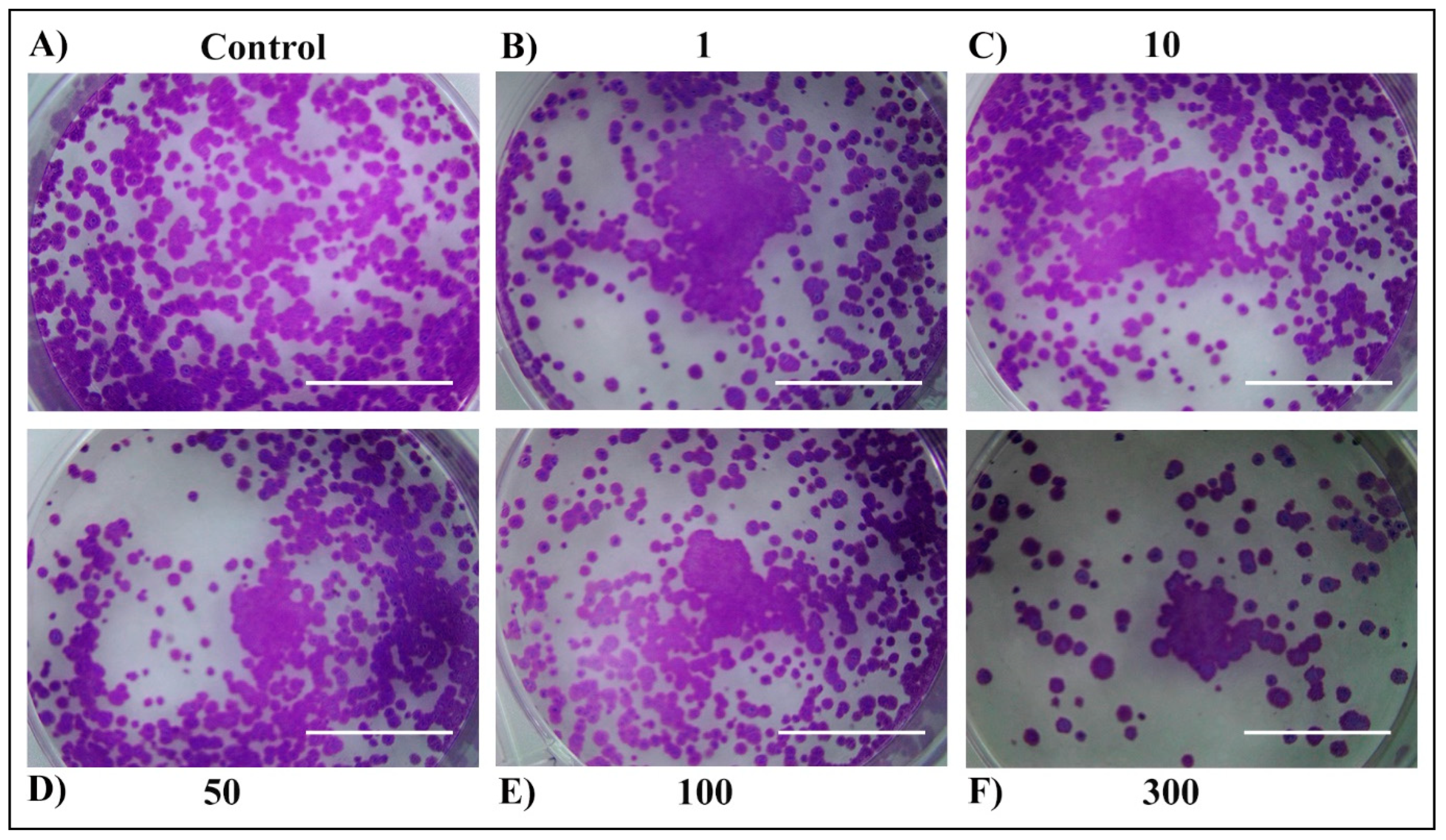 Plants 13 03457 g007