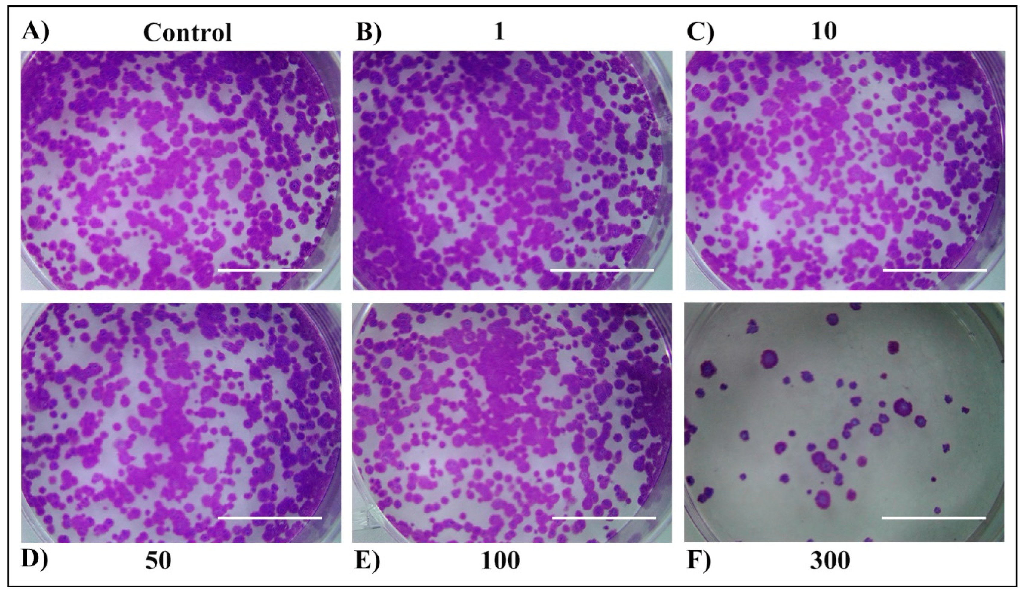 Plants 13 03457 g008