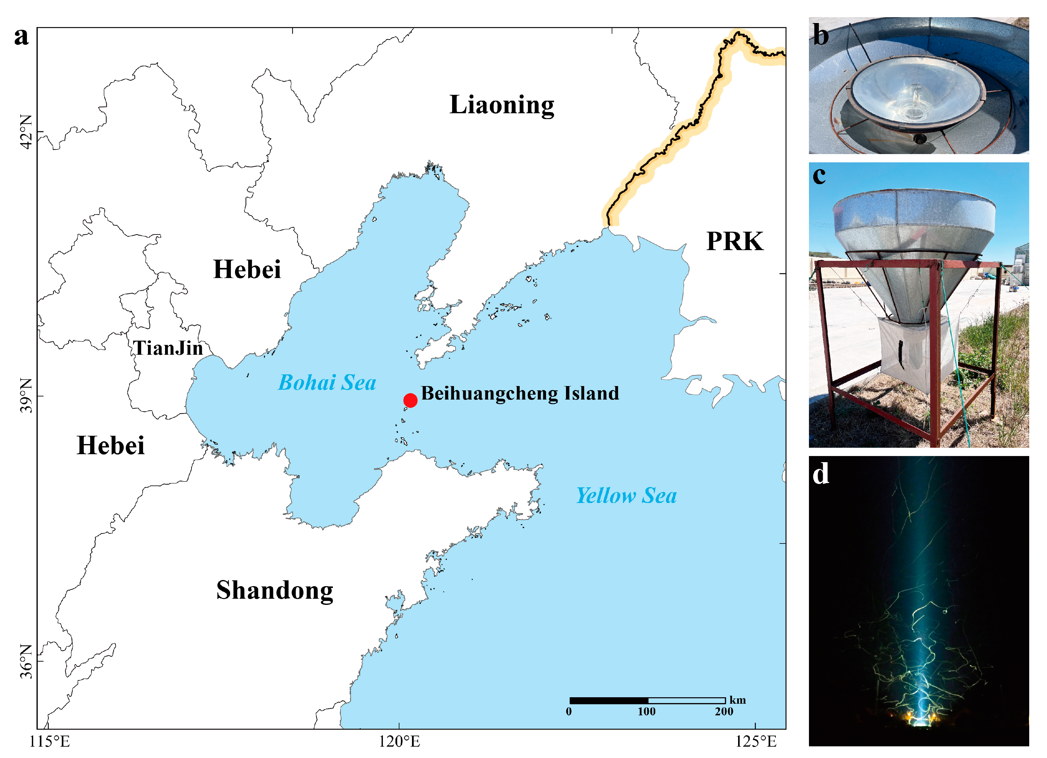 Plants 13 03467 g006