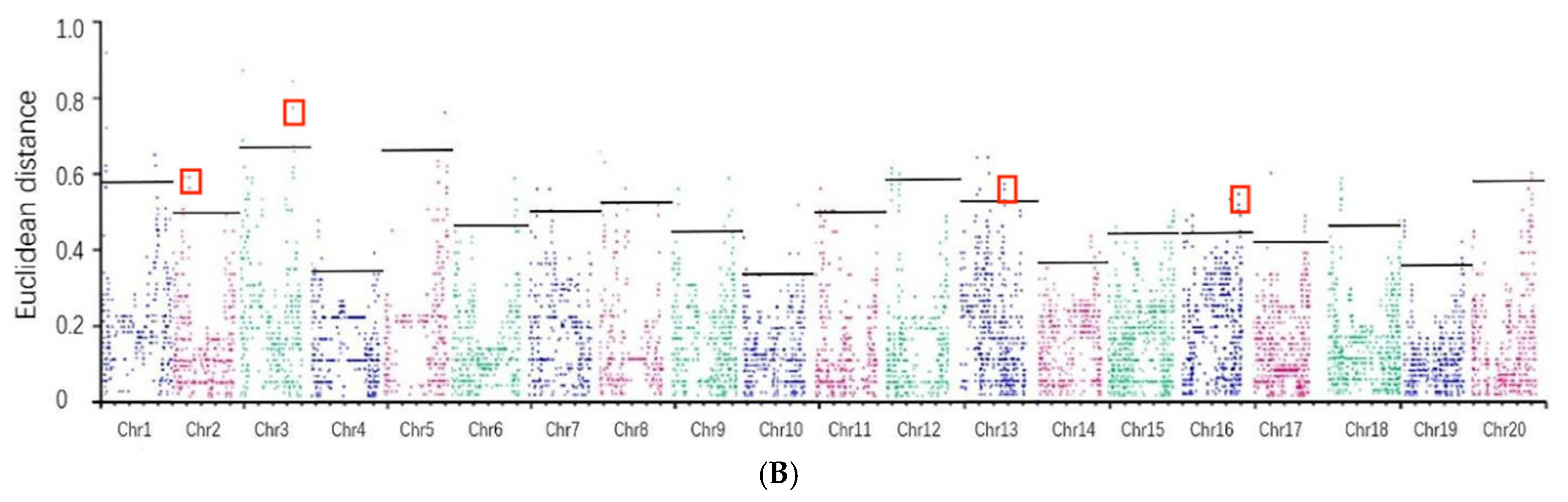 Plants 13 03470 g006b Plants 13 03470 g006b