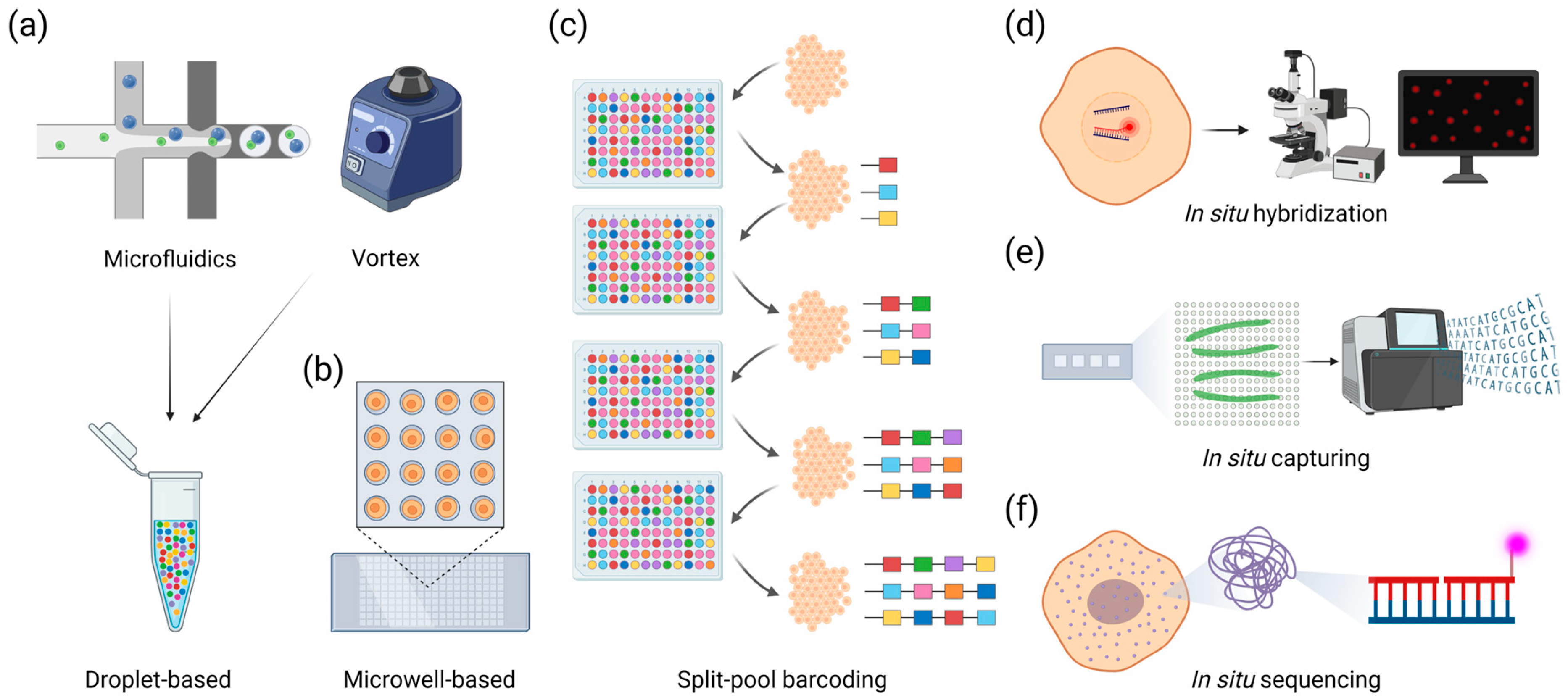 Plants 13 03476 g001