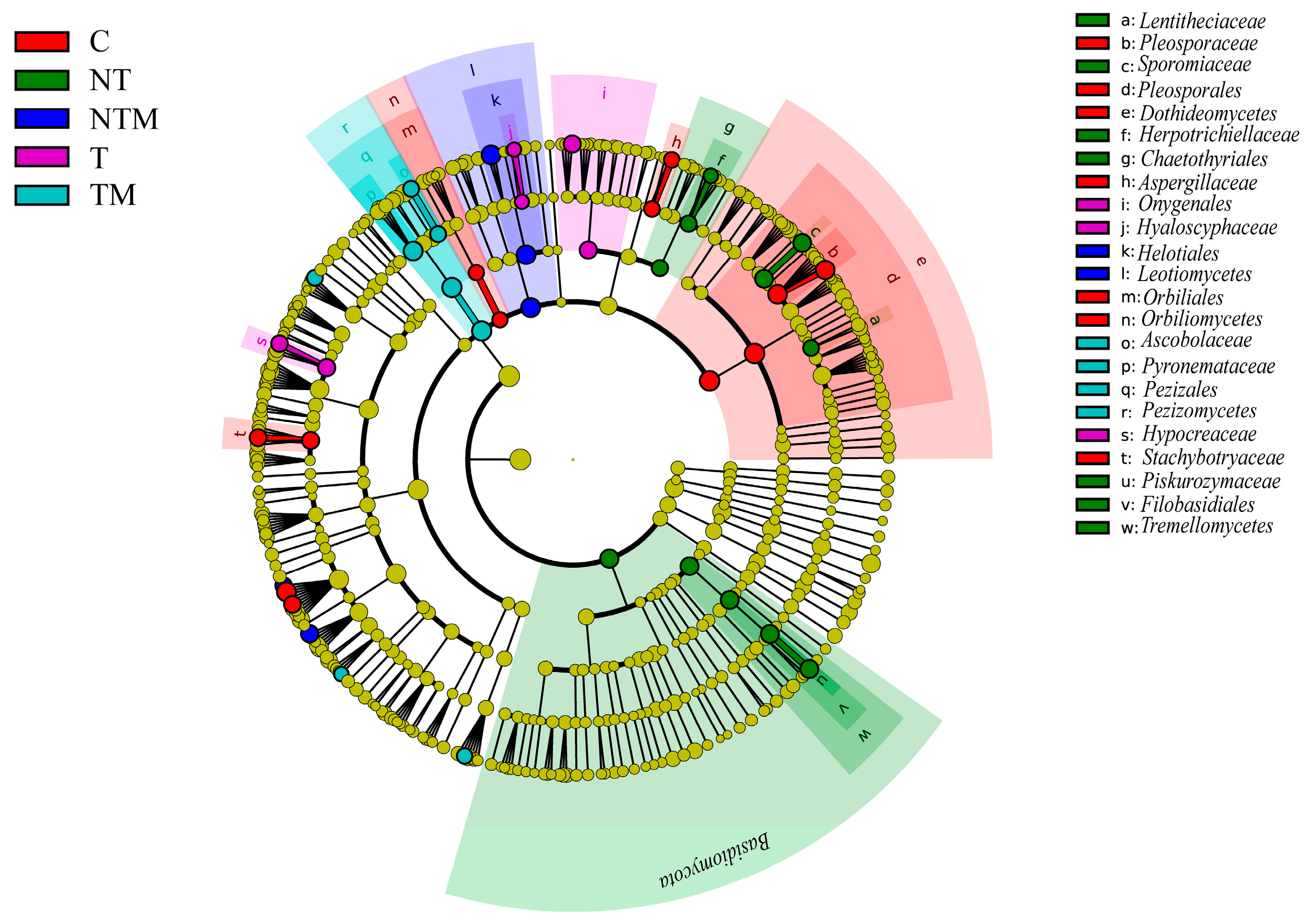 Plants 13 03477 g006