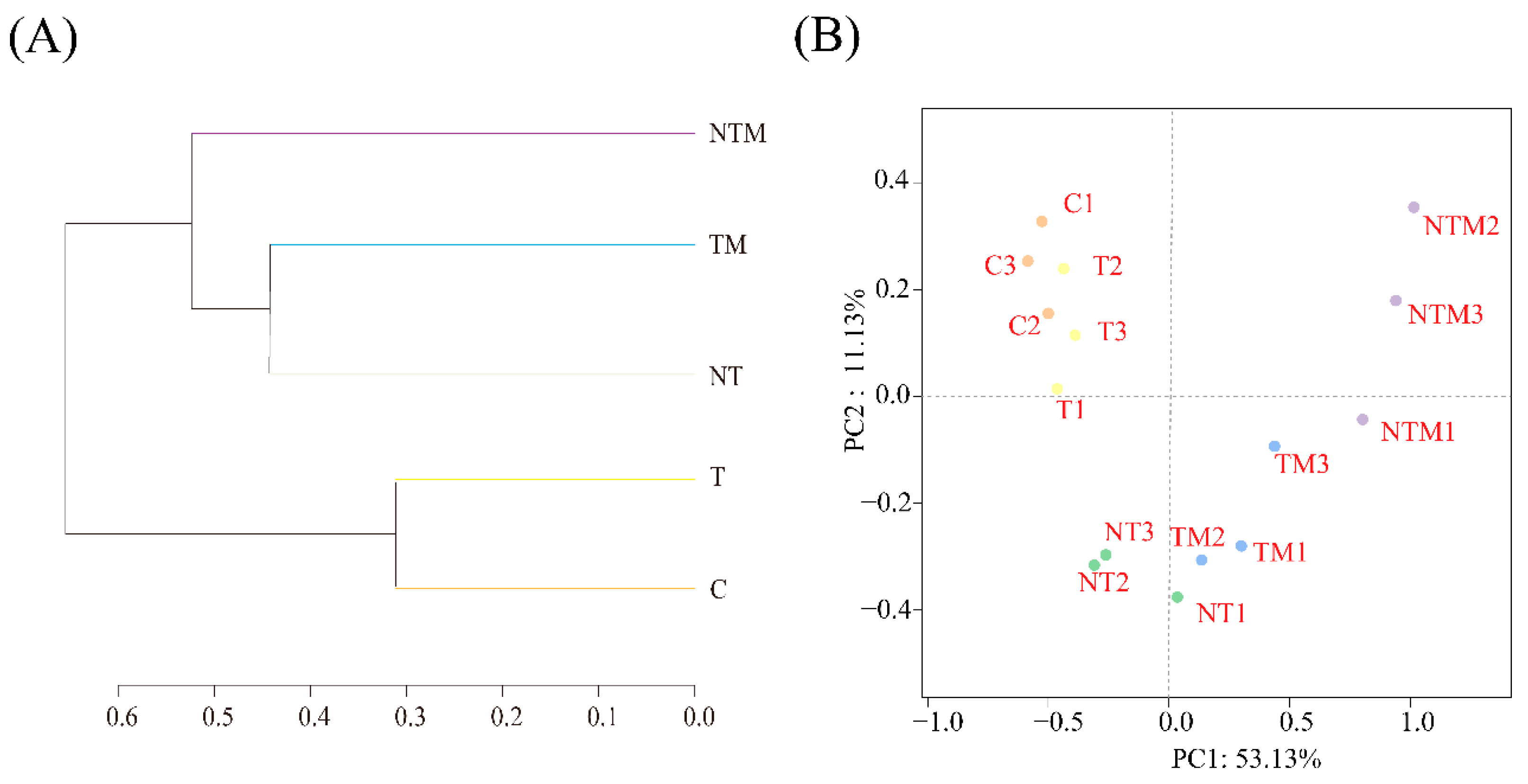 Plants 13 03477 g007