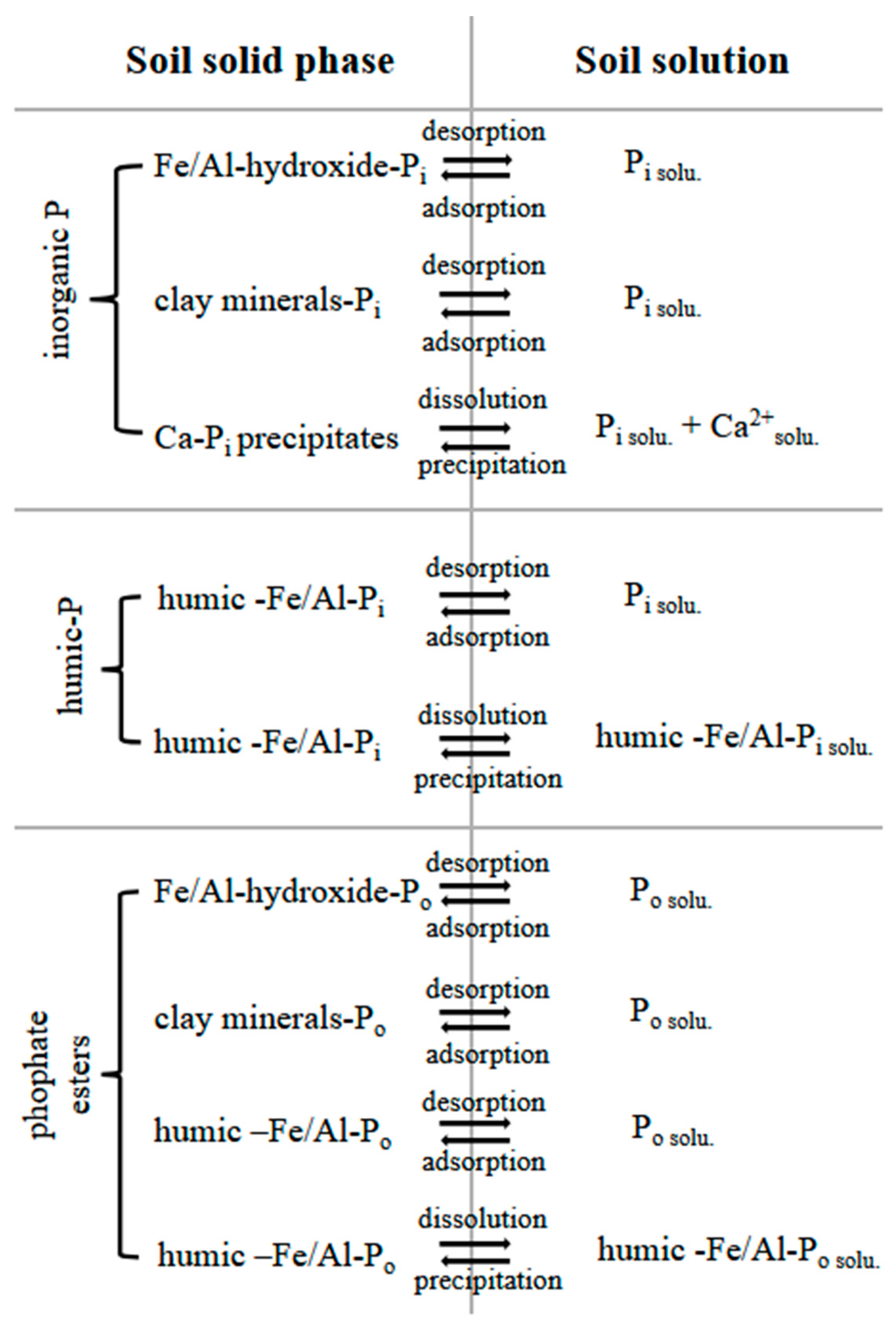 Plants 13 03478 g003 Plants 13 03478 g003