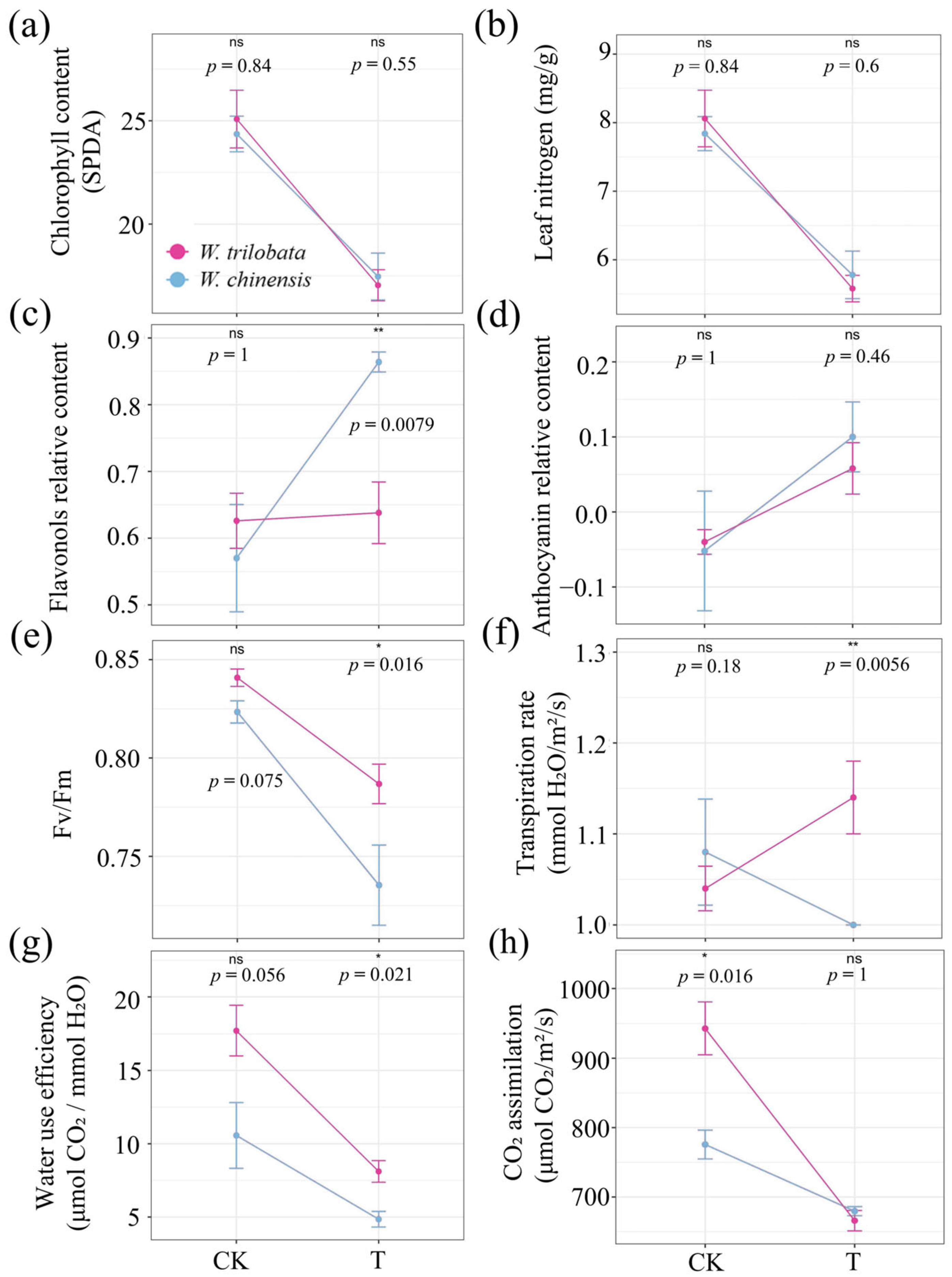 Plants 13 03480 g002