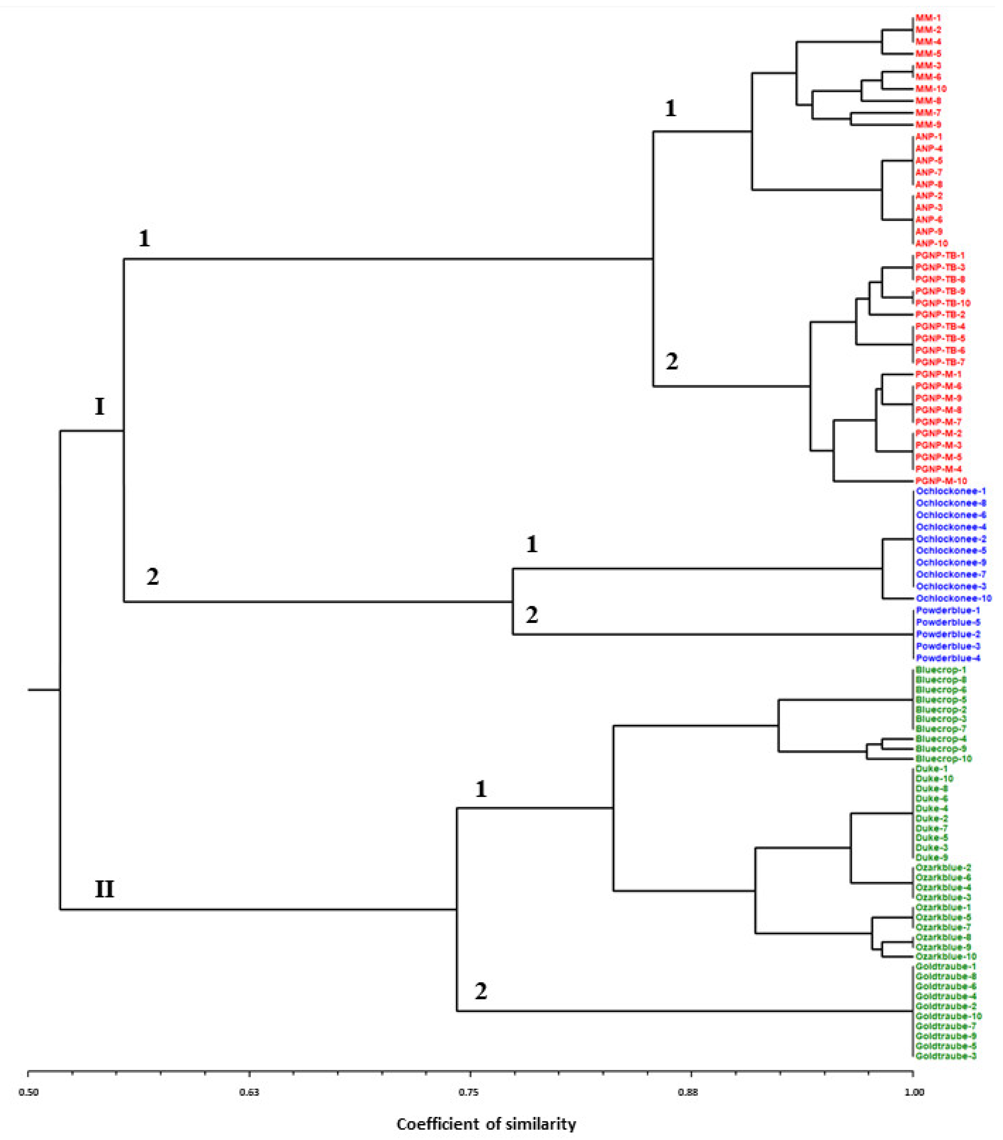 Plants 13 03488 g001