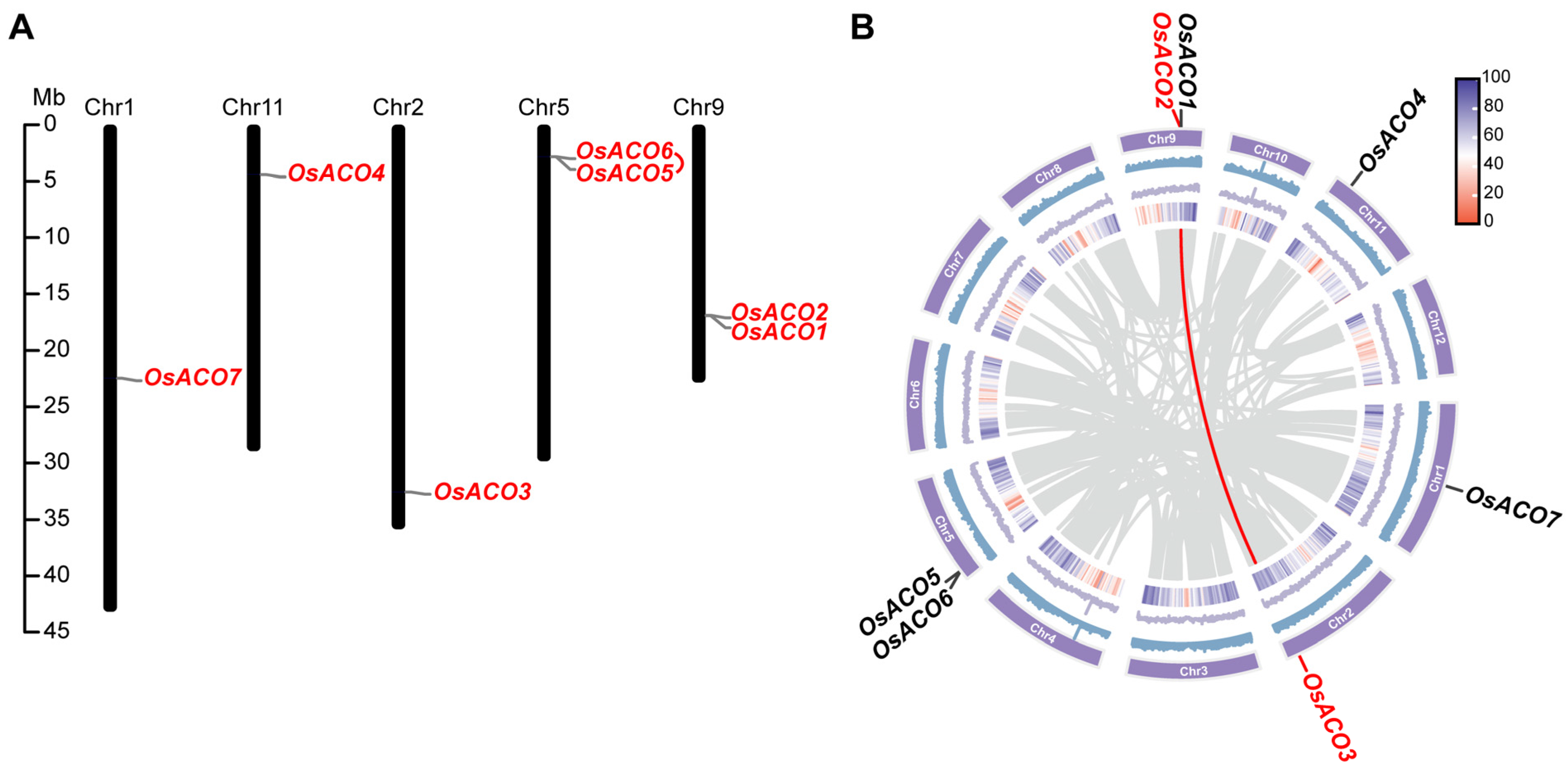 Plants 13 03490 g003