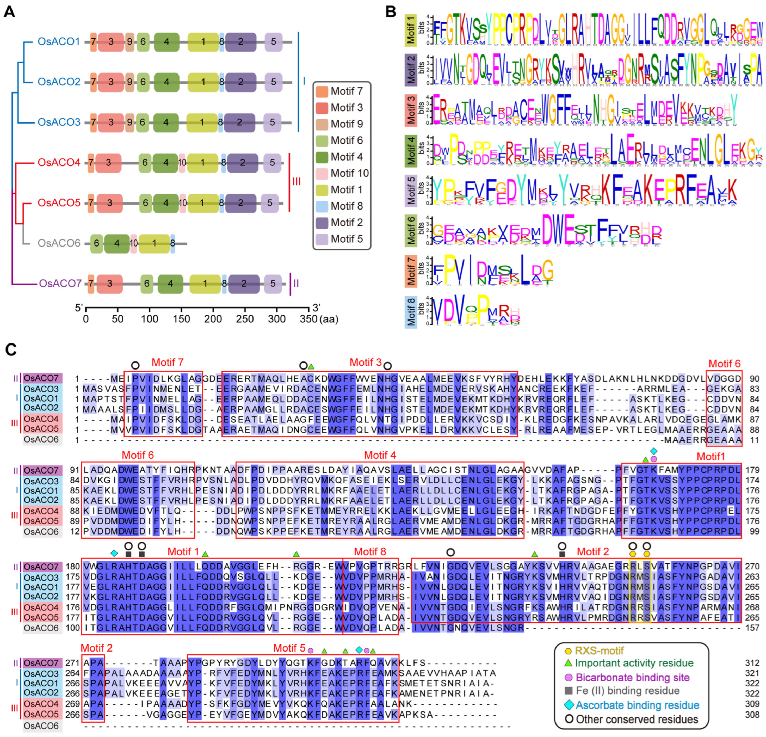 Plants 13 03490 g005