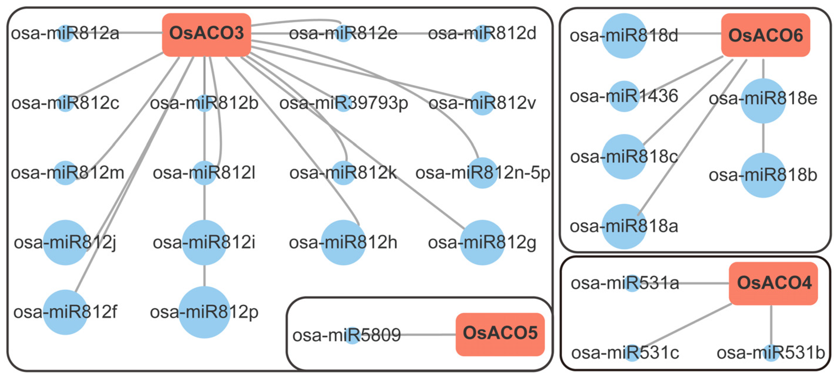 Plants 13 03490 g007