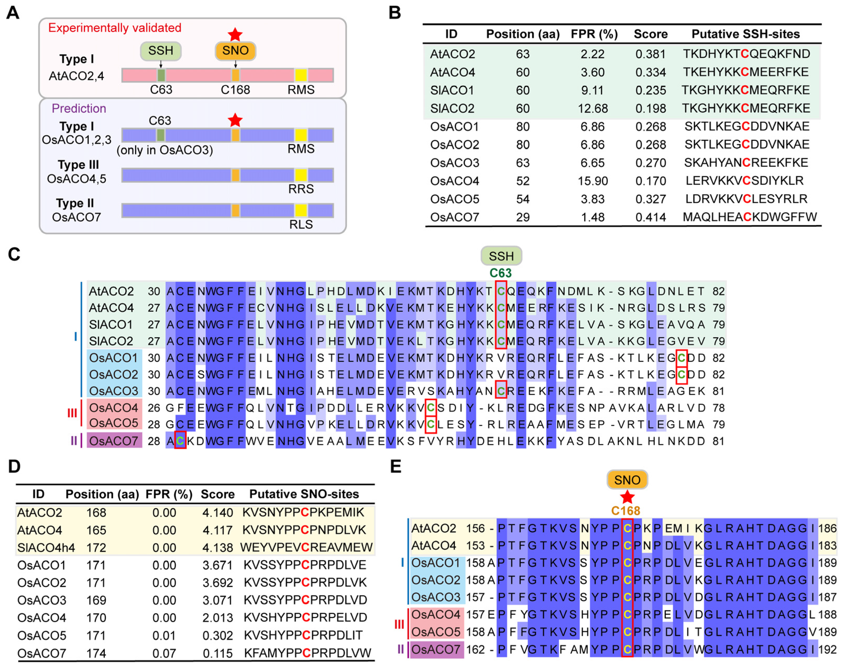 Plants 13 03490 g008