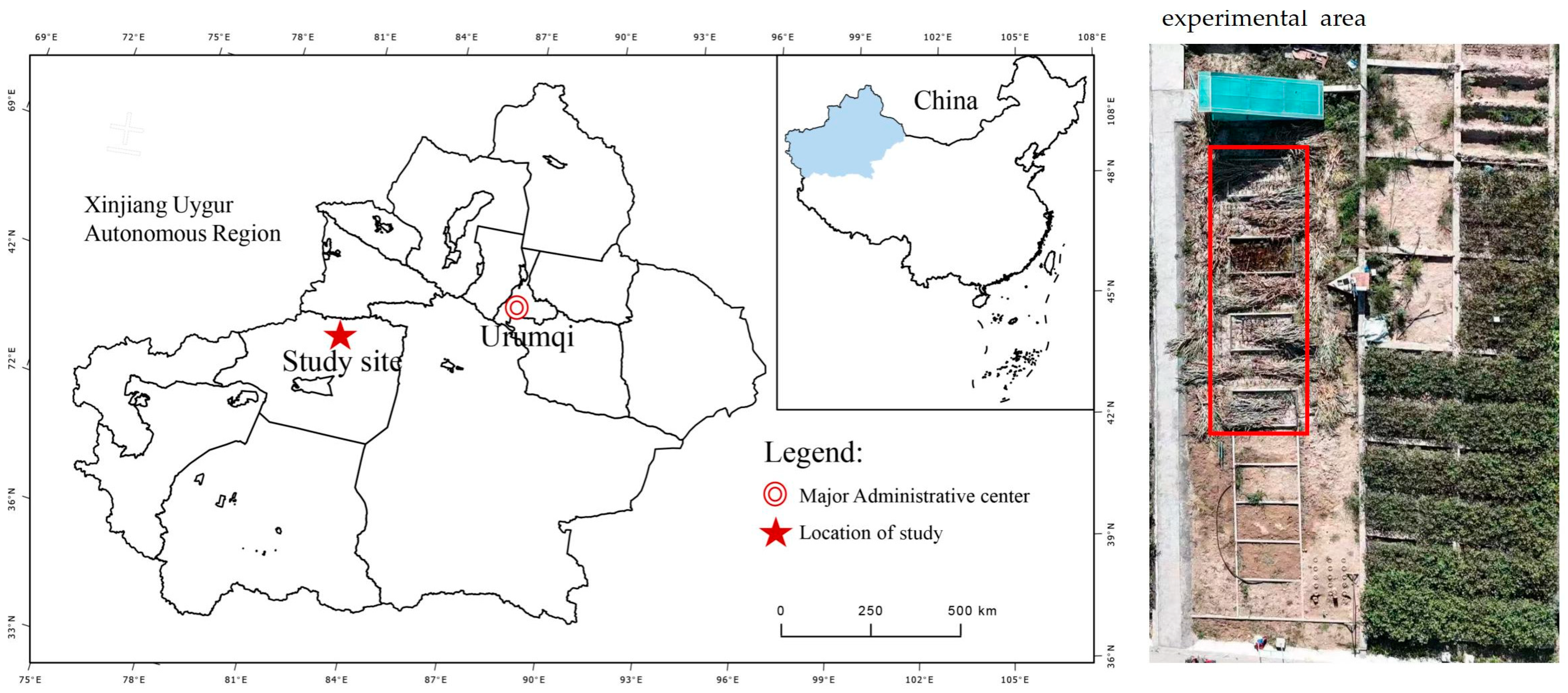 Plants 13 03492 g005