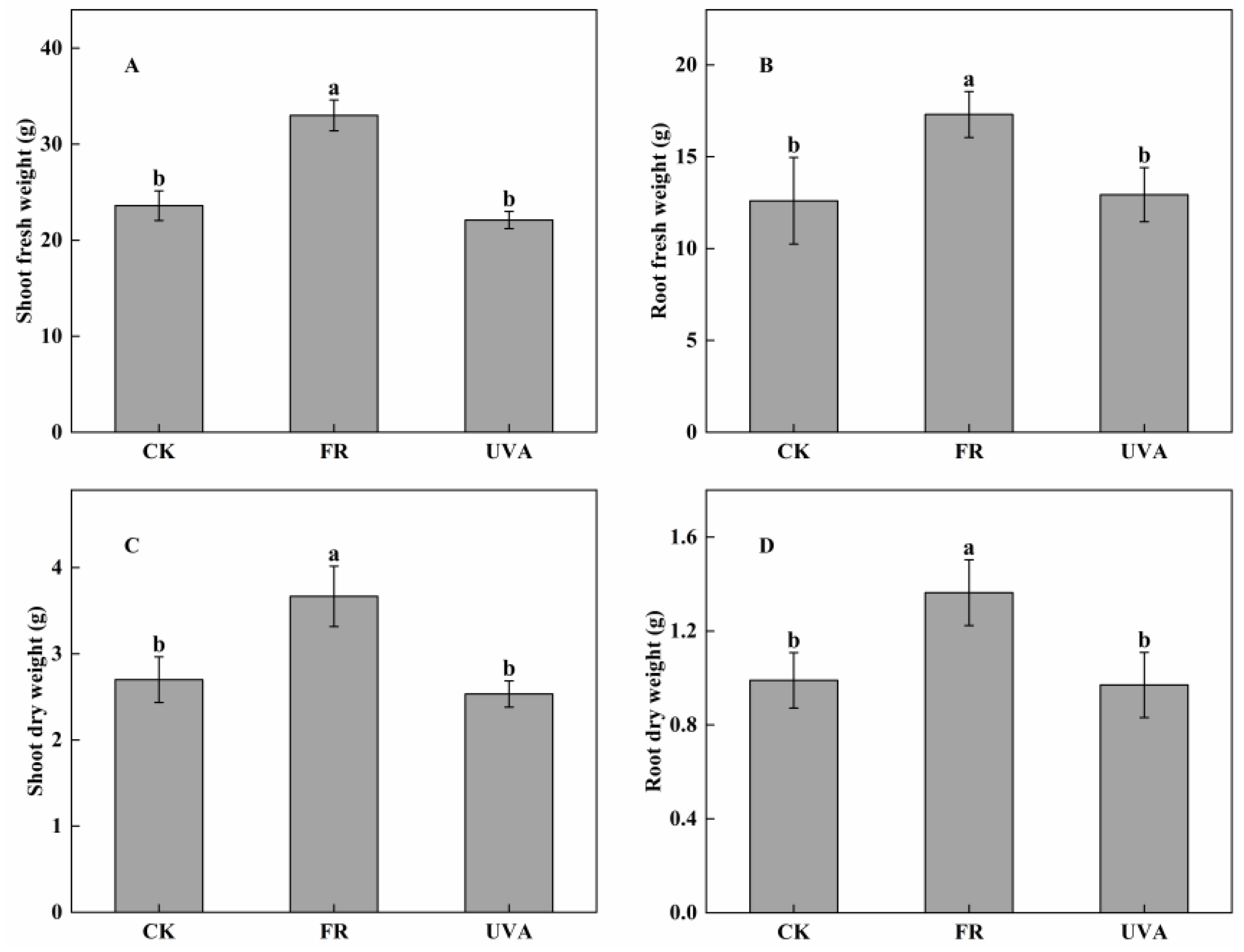 Plants 13 03495 g003