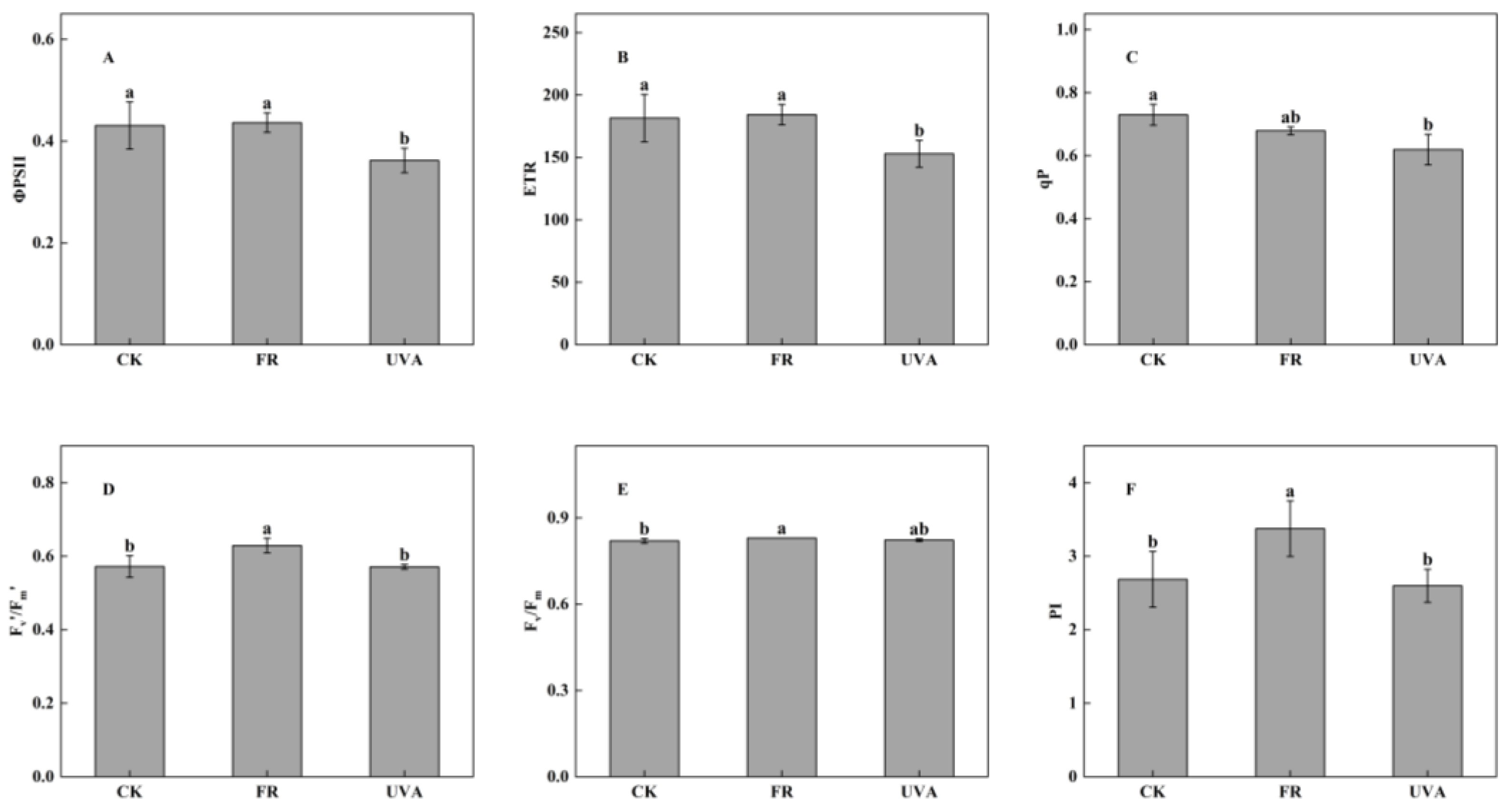 Plants 13 03495 g006
