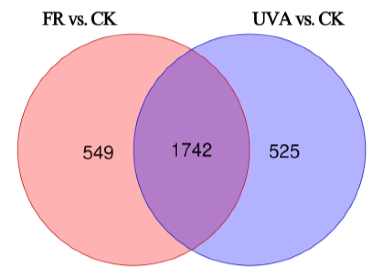 Plants 13 03495 g009