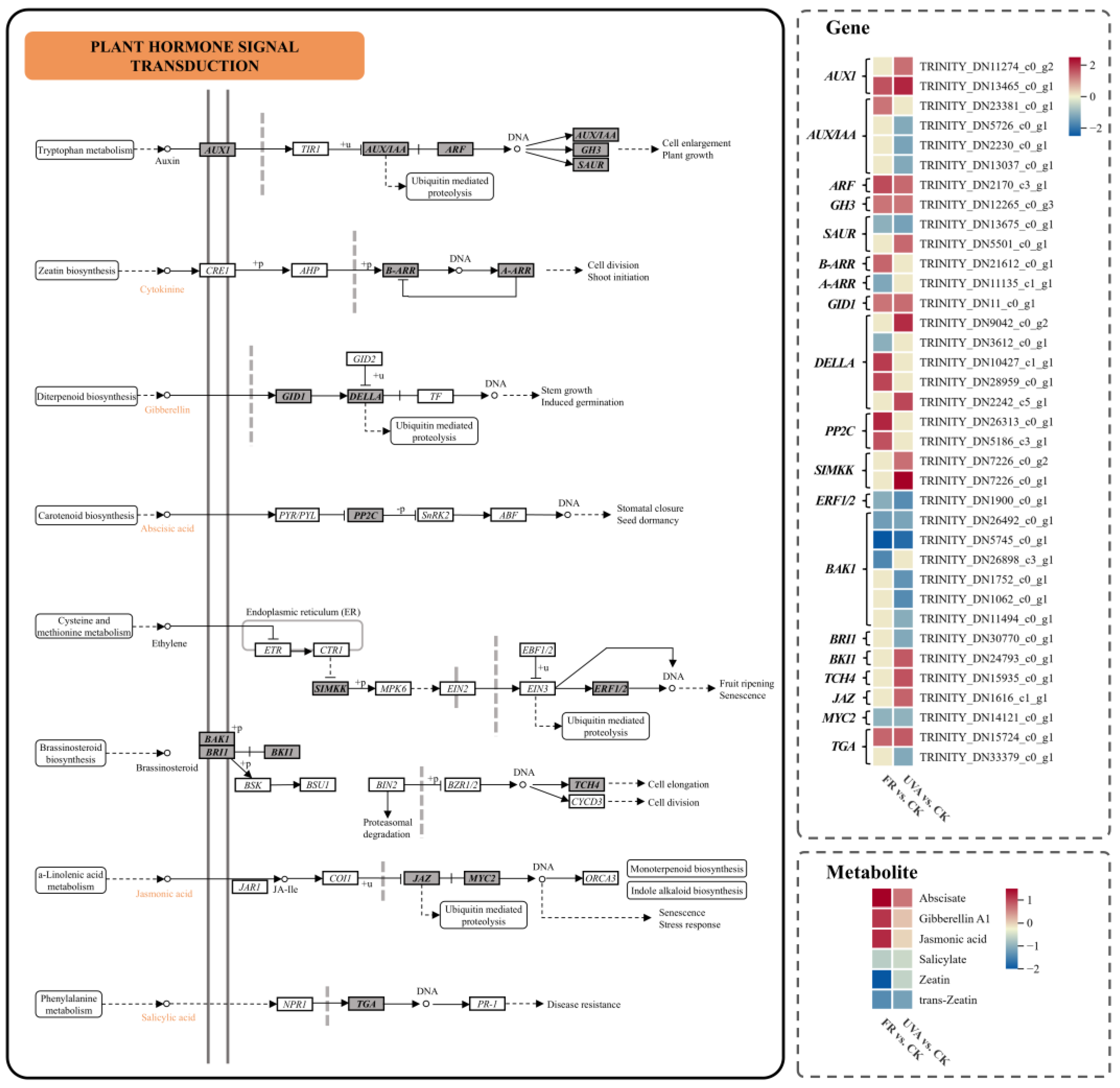 Plants 13 03495 g011