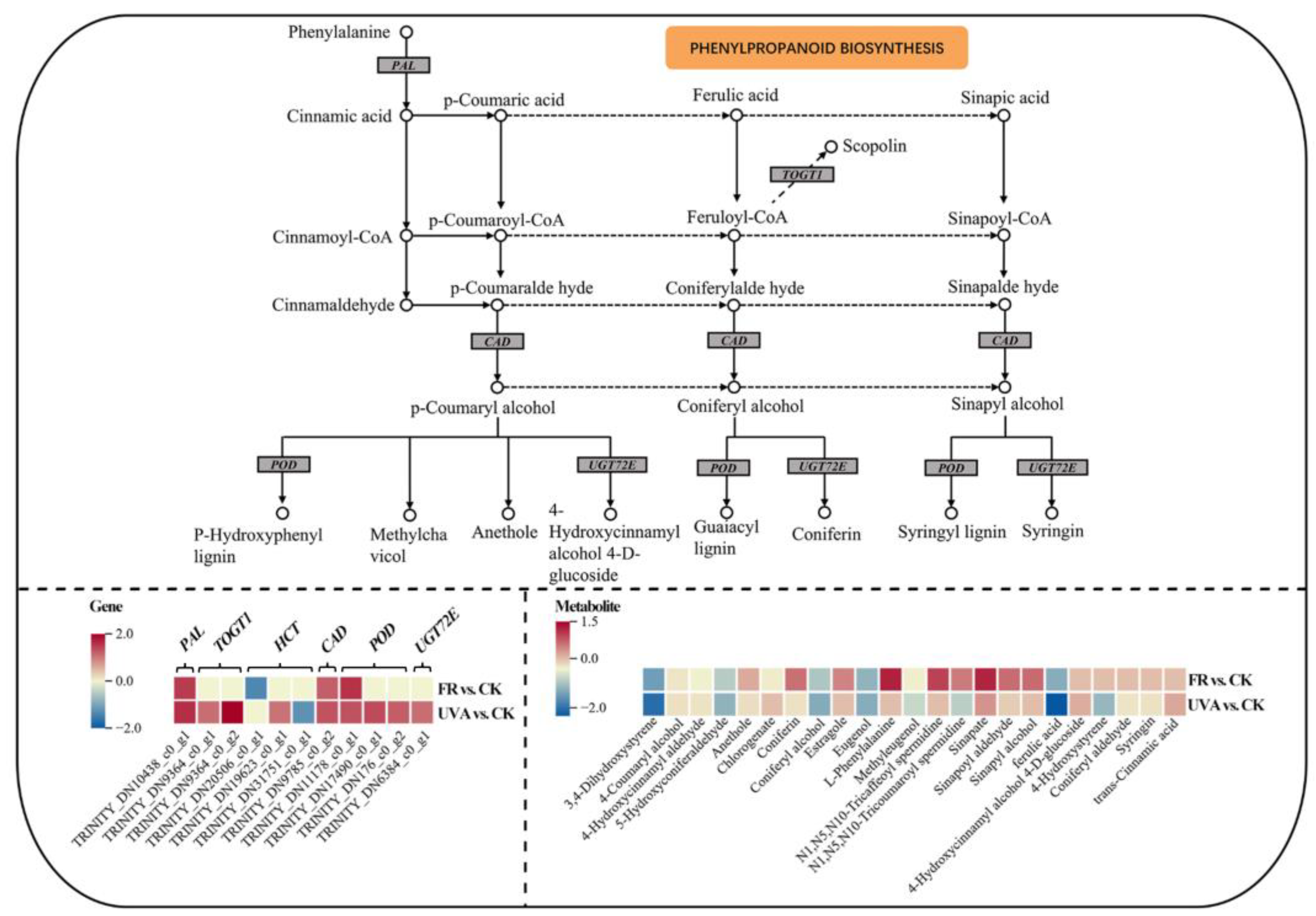Plants 13 03495 g012
