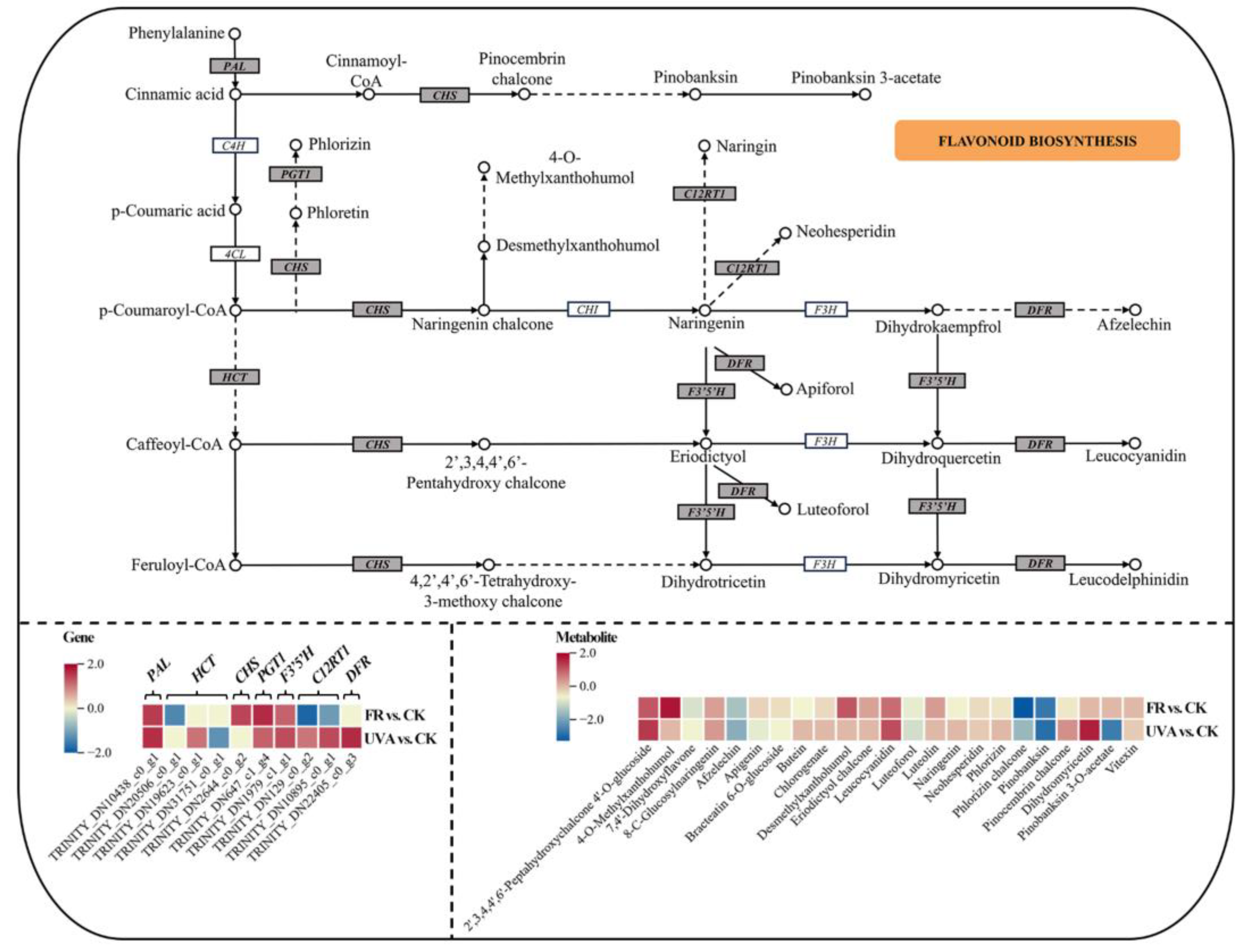 Plants 13 03495 g013