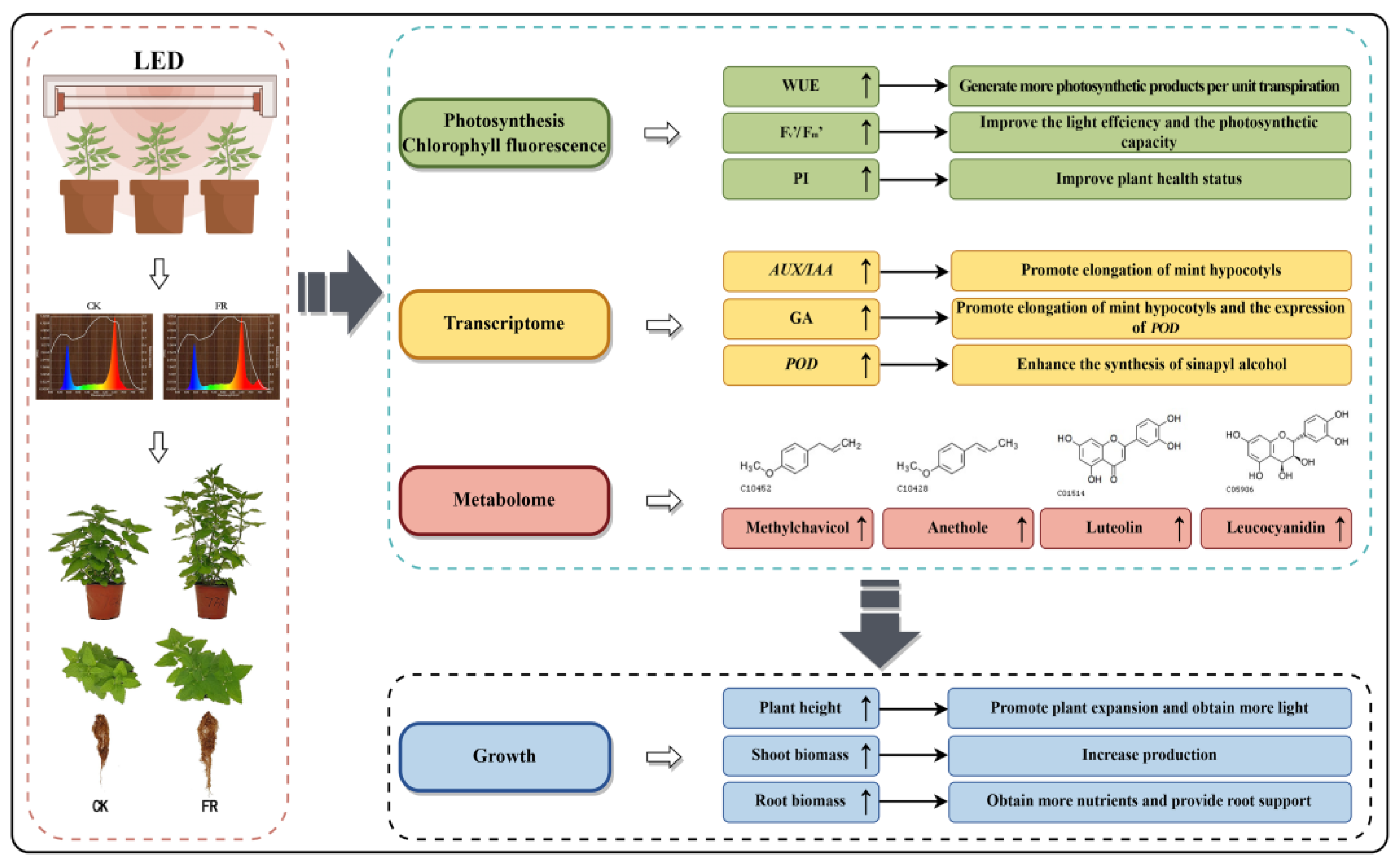 Plants 13 03495 g018