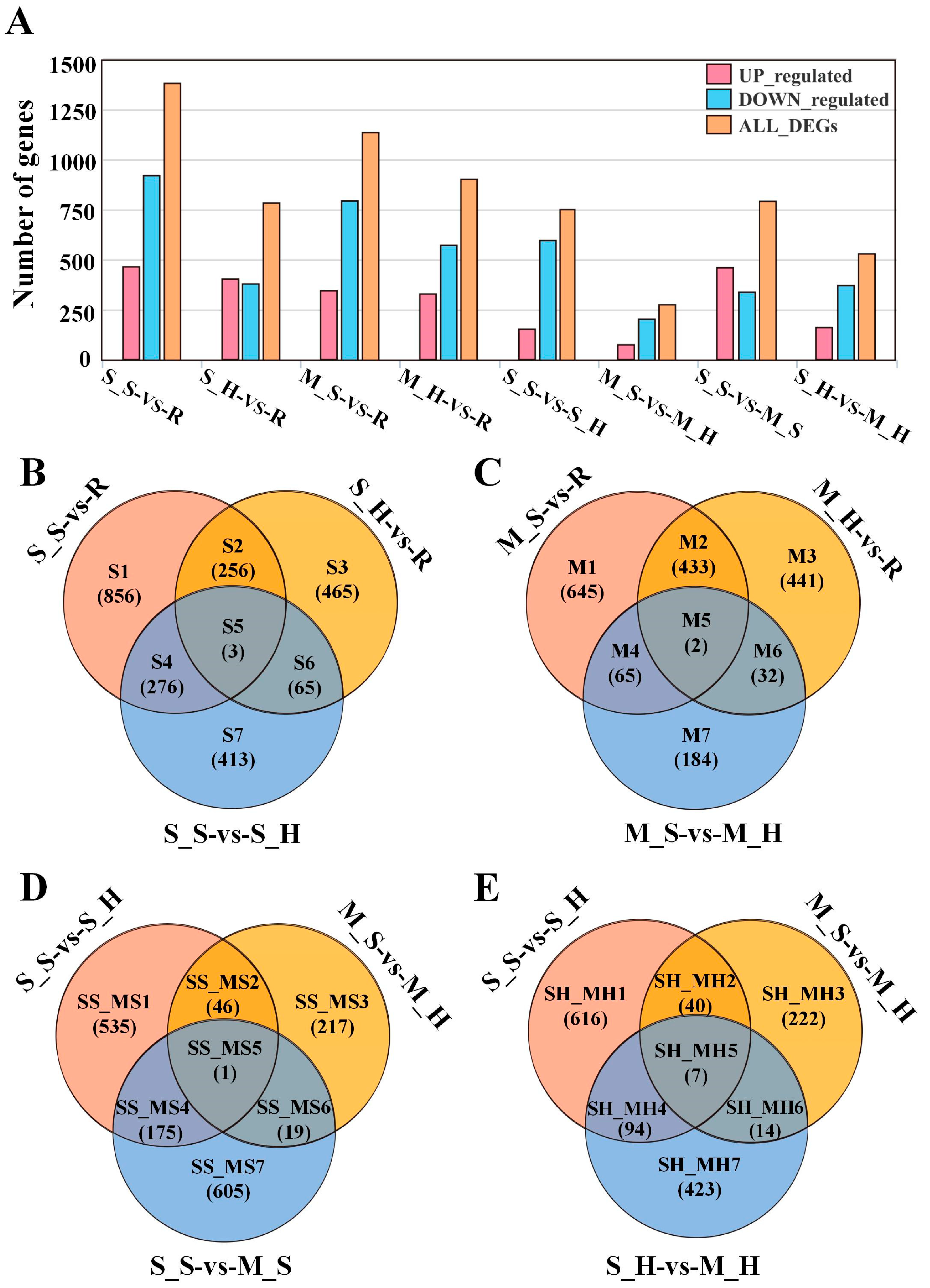 Plants 13 03497 g001