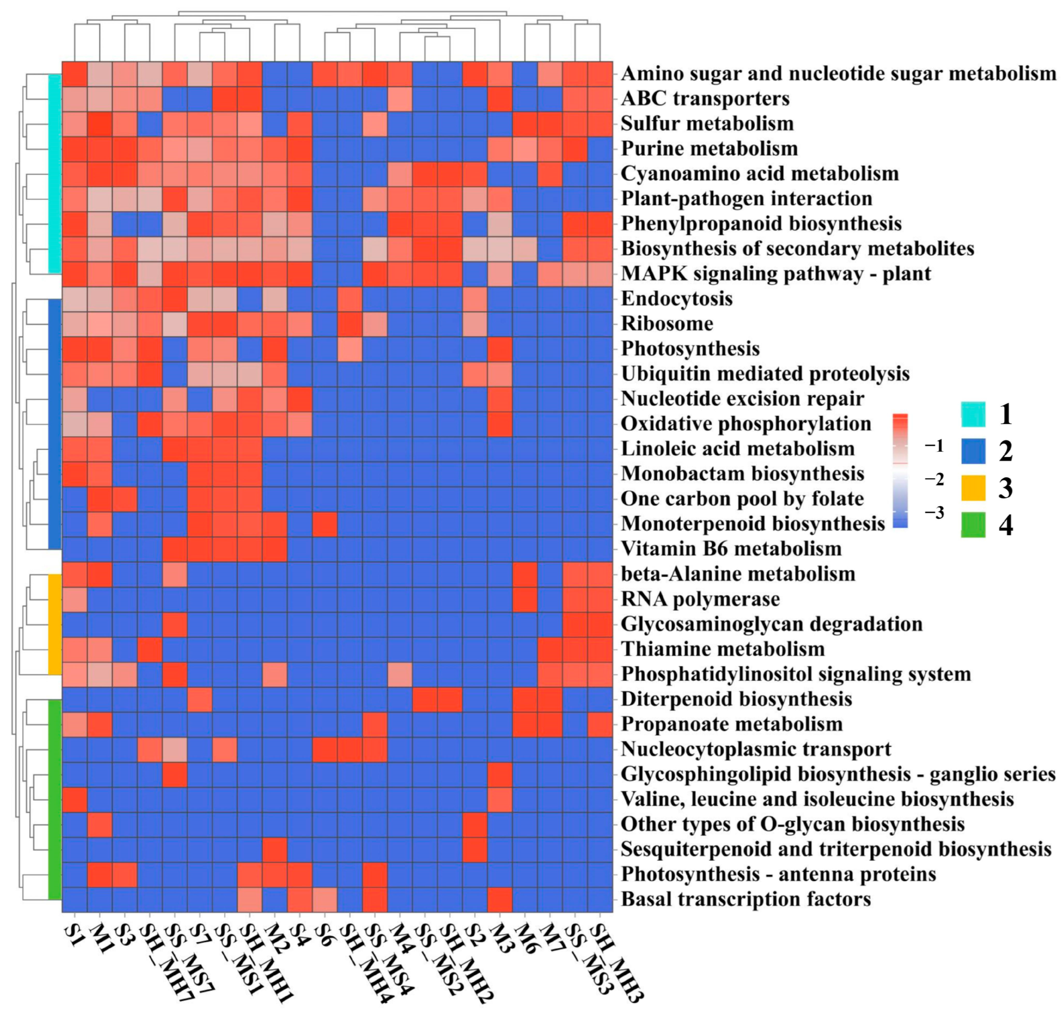 Plants 13 03497 g002