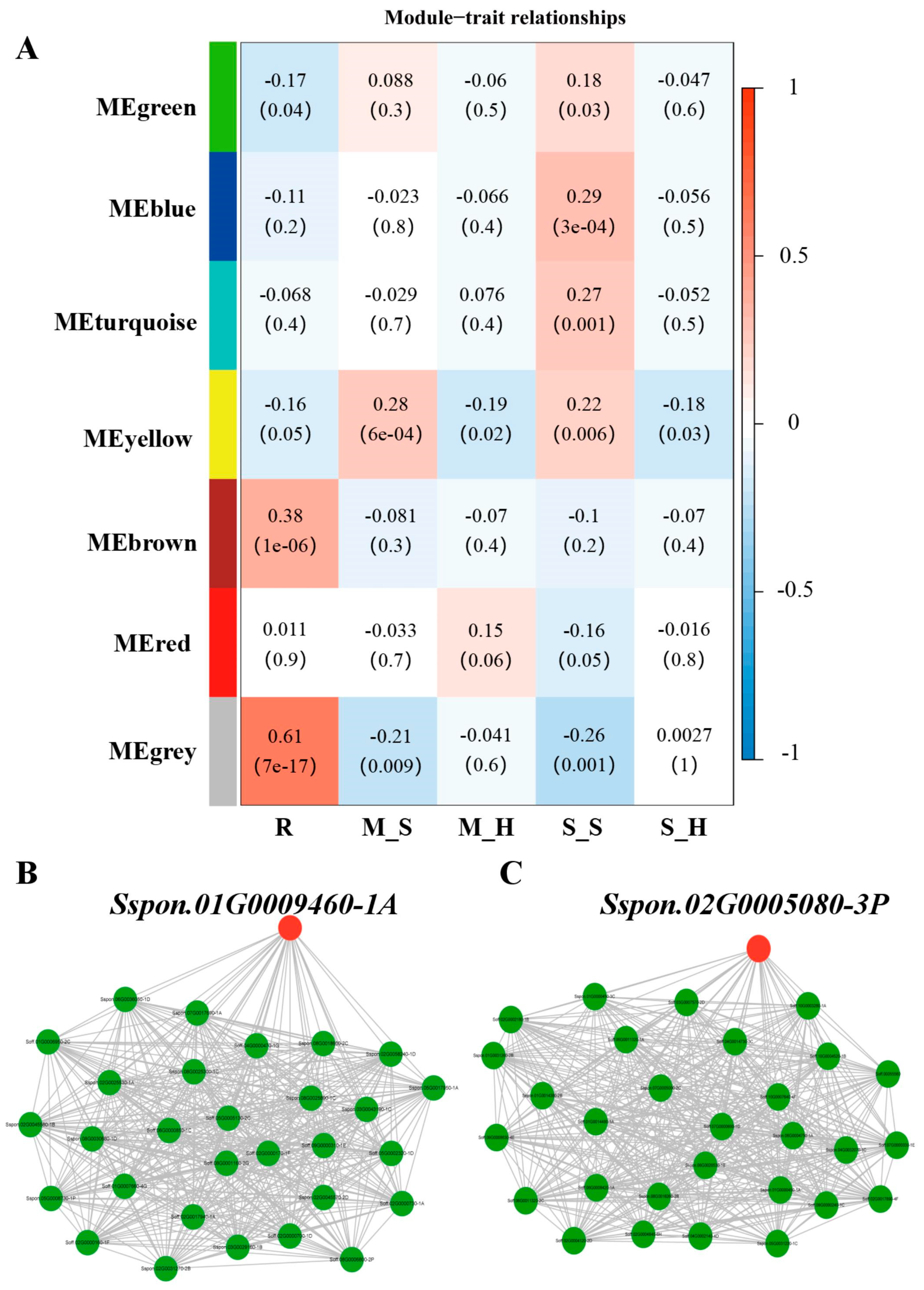 Plants 13 03497 g003