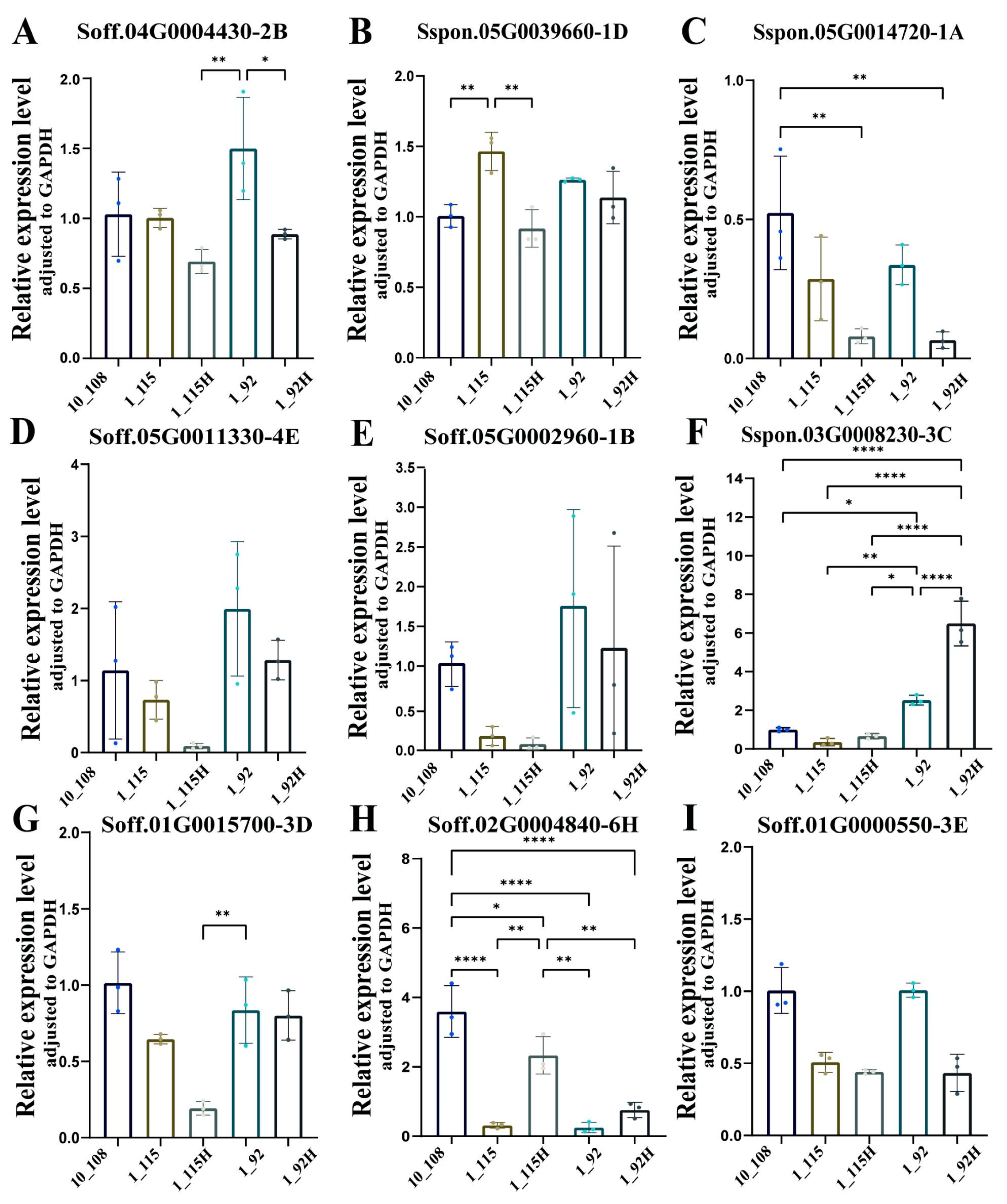 Plants 13 03497 g004