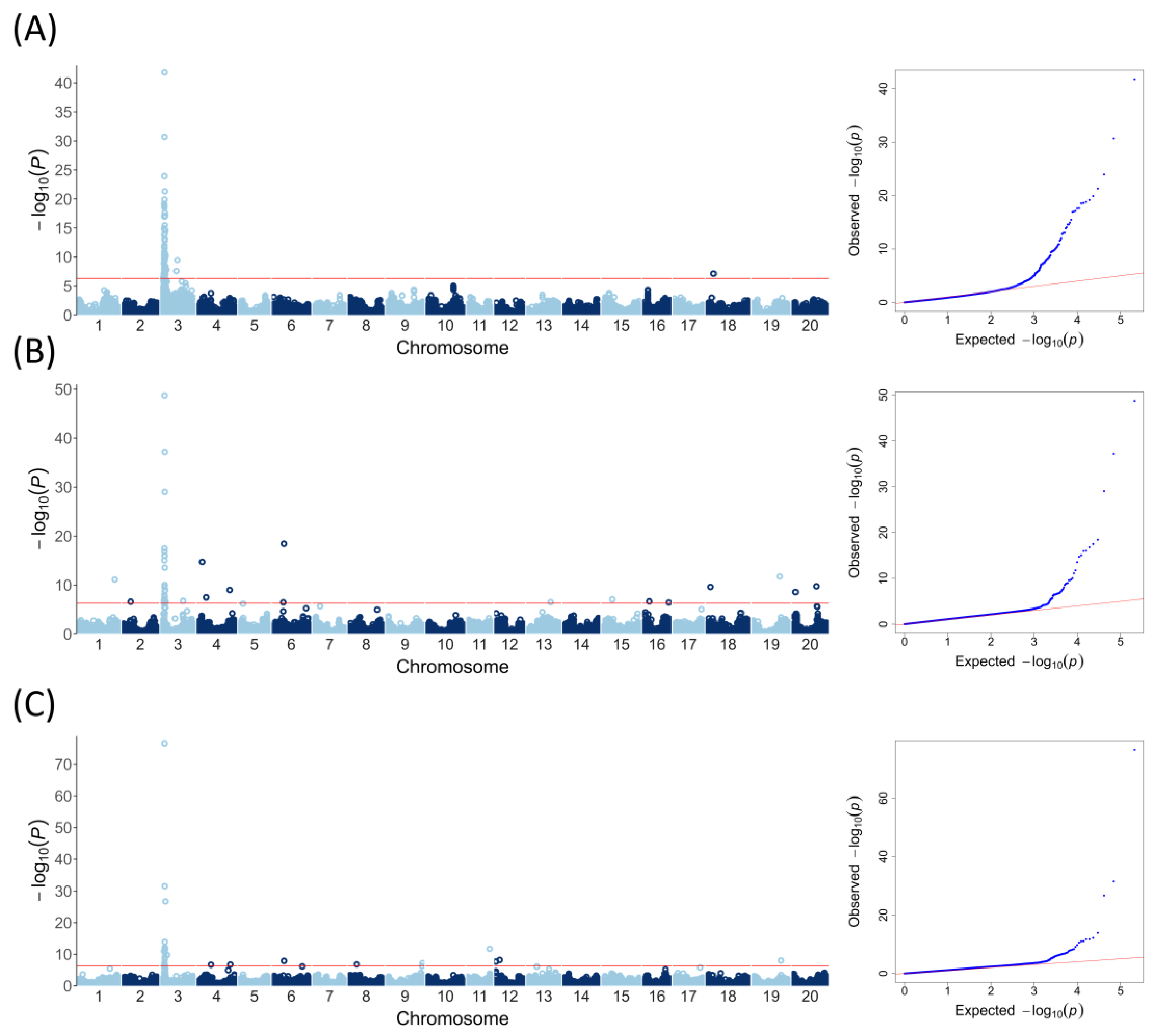 Plants 13 03501 g003