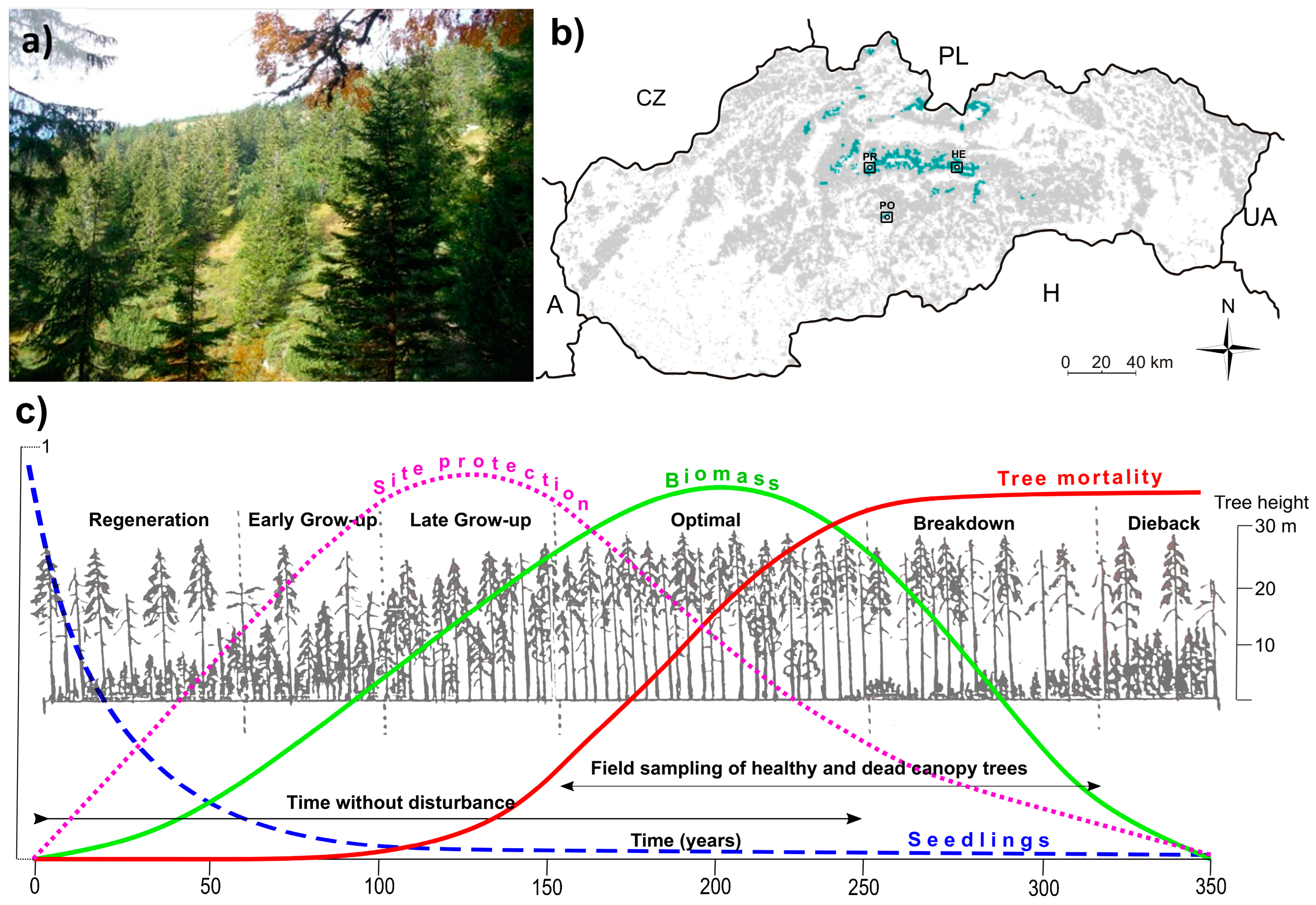Plants 13 03502 g009 Plants 13 03502 g009