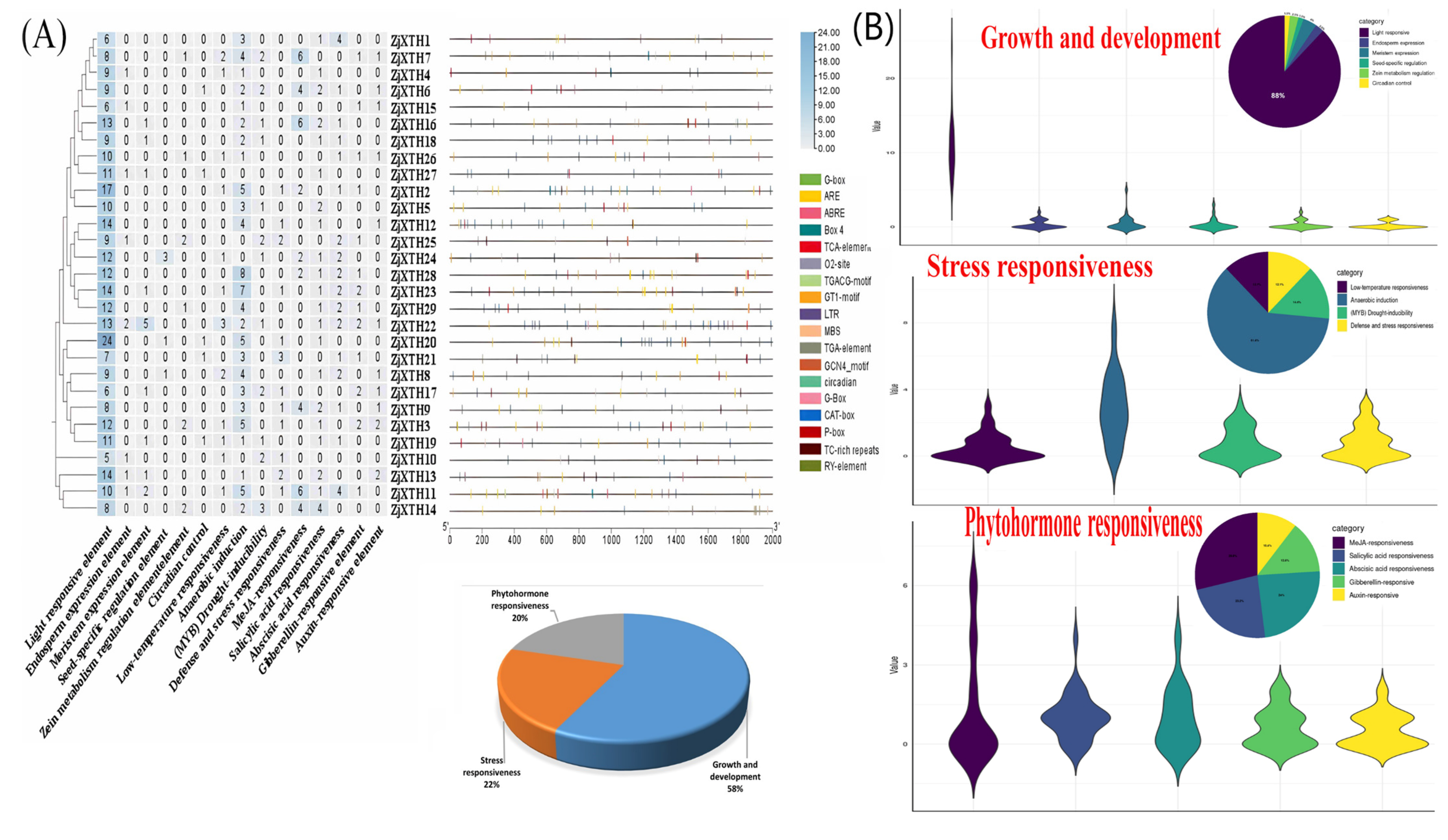 Plants 13 03503 g004