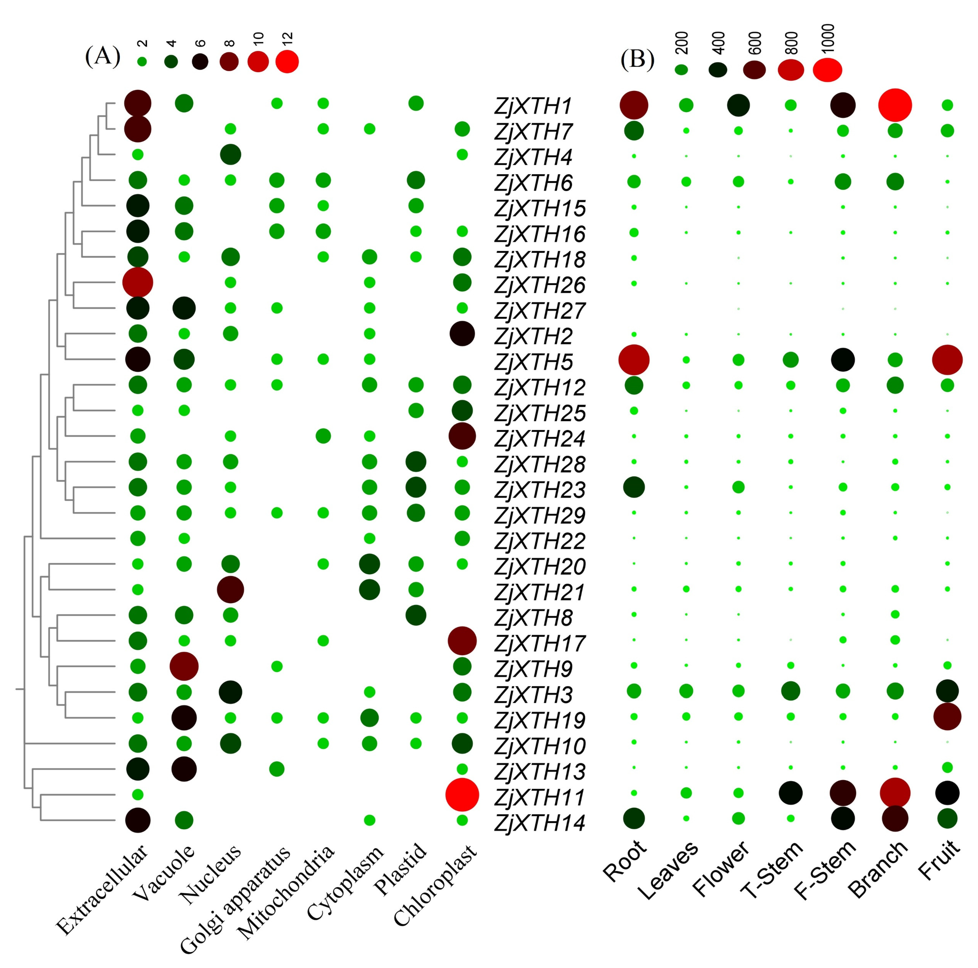 Plants 13 03503 g006