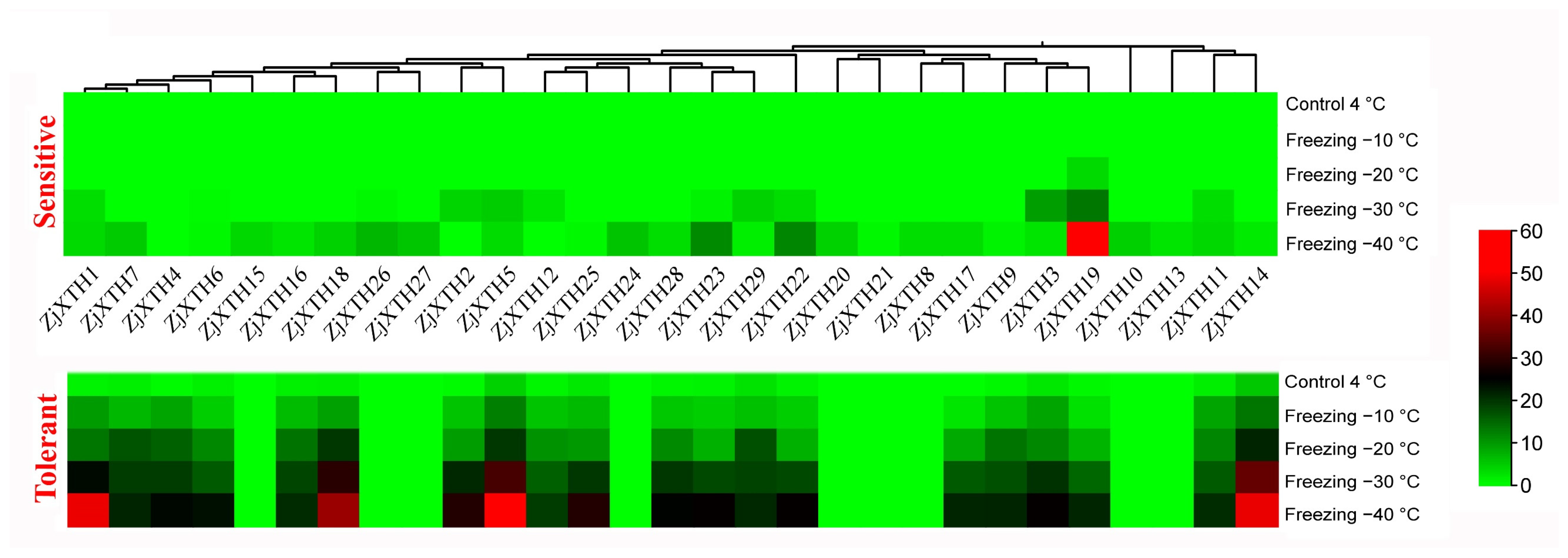 Plants 13 03503 g009