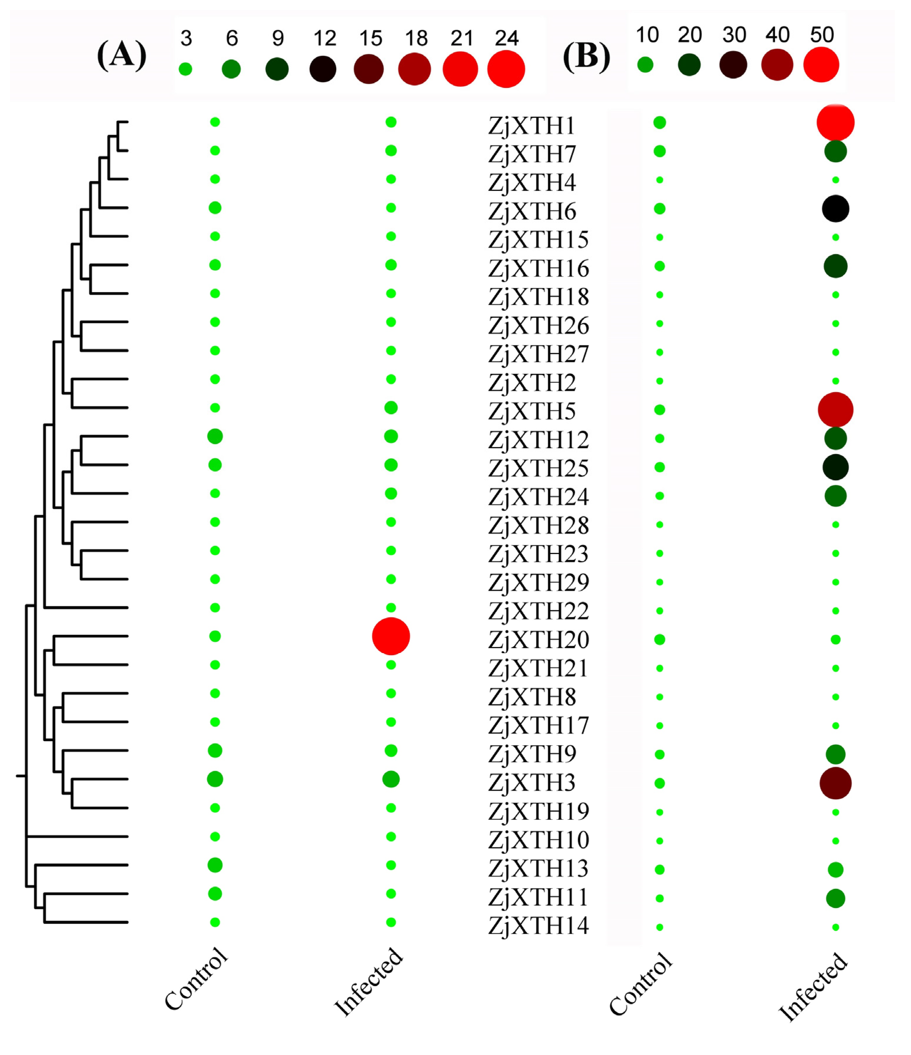 Plants 13 03503 g010