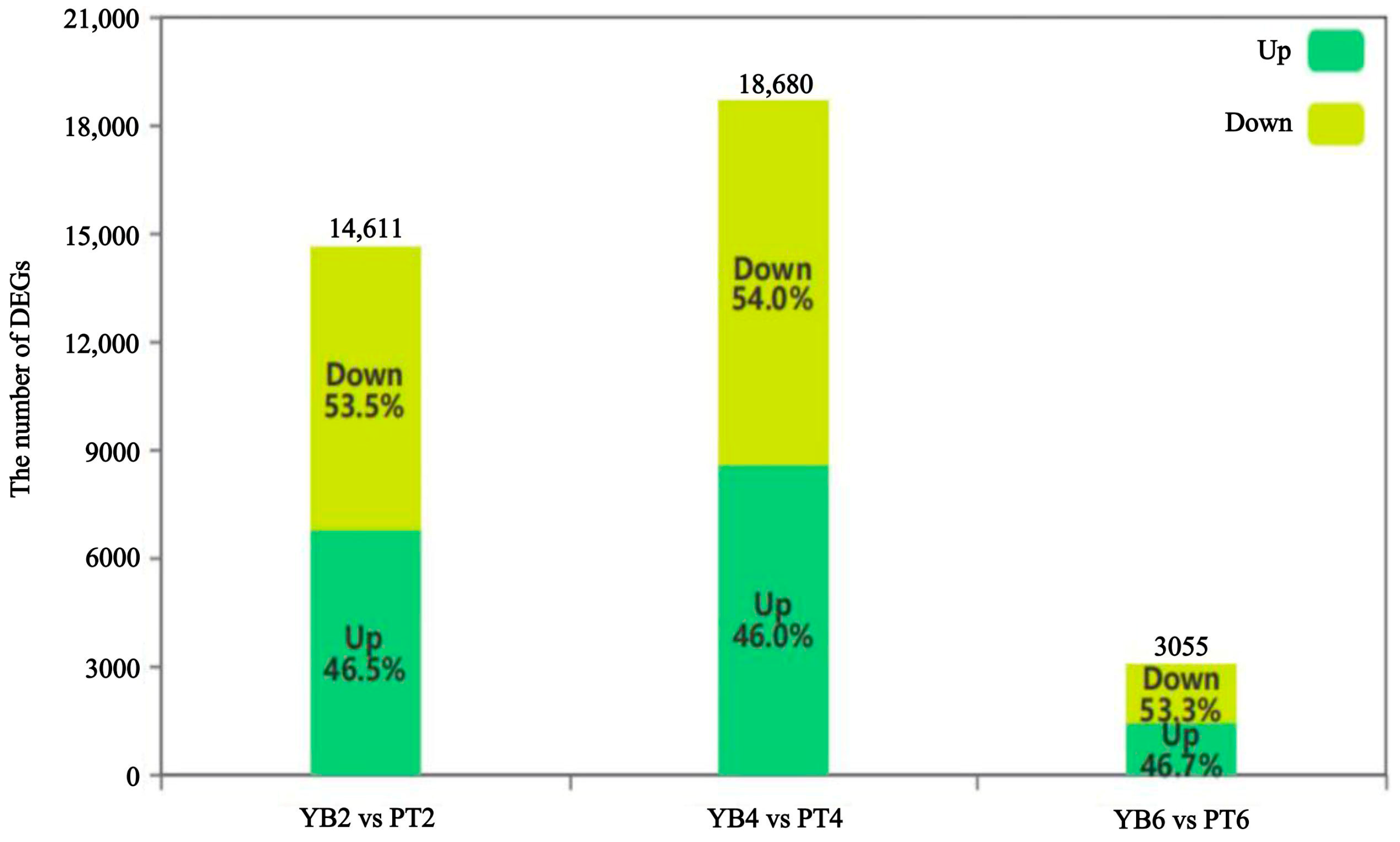 Plants 13 03504 g004